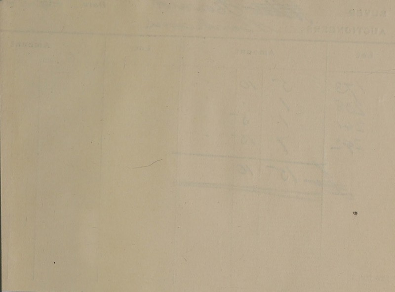 beth Tin PL hepe « oe - DA stn Sen ea ee Sr ; : —_- 7 ~ . > 7 a ; es i a NOM ale OB RL tae, ; % om * La in eh Melt ddies sad ee ee en 1 renew  ibe ki vee . yy  a kl be esi Pave ig + —$— ¥  ect 