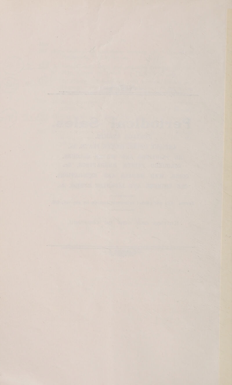  ; % 1 » ; } . y, / y u J ¥ / { sl 7 i r @ f s te { y - F a . ‘ / / / uf ; 7 . ‘ I] A te . 3 f : / a 1 Bi j f / a / / 7 / 2 t ' * . ; . : ‘ S ty ¢ . 4 * : 5 5 , $ 2 e / ’