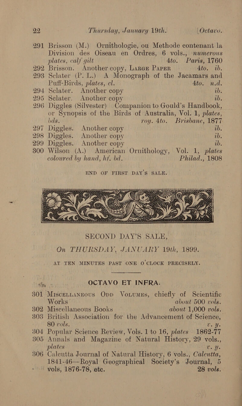 291 292 293 294 295 296 Brisson (M.) Ornithologie, ou Methode contenant la Division des Oiseau en Ordres, 6 vols., numerous plates, calf gilt 4to. Paris, 1760 Brisson. Another copy, LarcE Paper Ato. wb. Selater (P. L.) A Monograph of the Jacamars and Puff-Birds, plates, cl. Ato. n.d. Sclater. Another copy wb. Sclater. Another copy wb. Digeles (Silvester) Companion to Gould’s Handbook, 297 298 299 300 lds. roy. 4to. Brisbane, 1877 Diggles. Another copy te (Sab. Diggles. Another copy | ab. Diggles. Another copy ib. Wilson (A.) American Ornithology, Vol. 1, plates coloured by hand, hf. bd. Philad., 1808 END OF FIRST DAY'S SALE.  301 302 303 304 305 306 AT TEN MINUTES PAST ONE O CLOCK PRECISELY. OCTAVO ET INFRA.  MisceLuannous Opp Vouumes, chiefly of Bdientine Works — about 500 vols. Miscellaneous Books about 1,000 vols. British Association for the Advancement of Science, | 80 vols. Uv. y. Popular Science Review, Vols. 1 to 16, plates 1862-77 Annals and nea of Natural History, 29 vols., plates SPE Calcutta Journal of Natural History, 6 vols., Caleutta, 1841-46—Royal Geographical Society’s J ournal, 5
