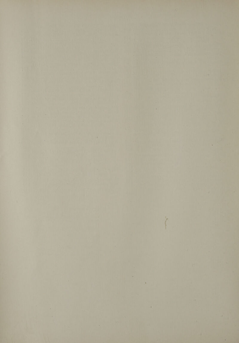 fh ‘ Oh vans mite m “ats a ¥ ae aed a 4 ’ i MOA yf Rsk ohh 