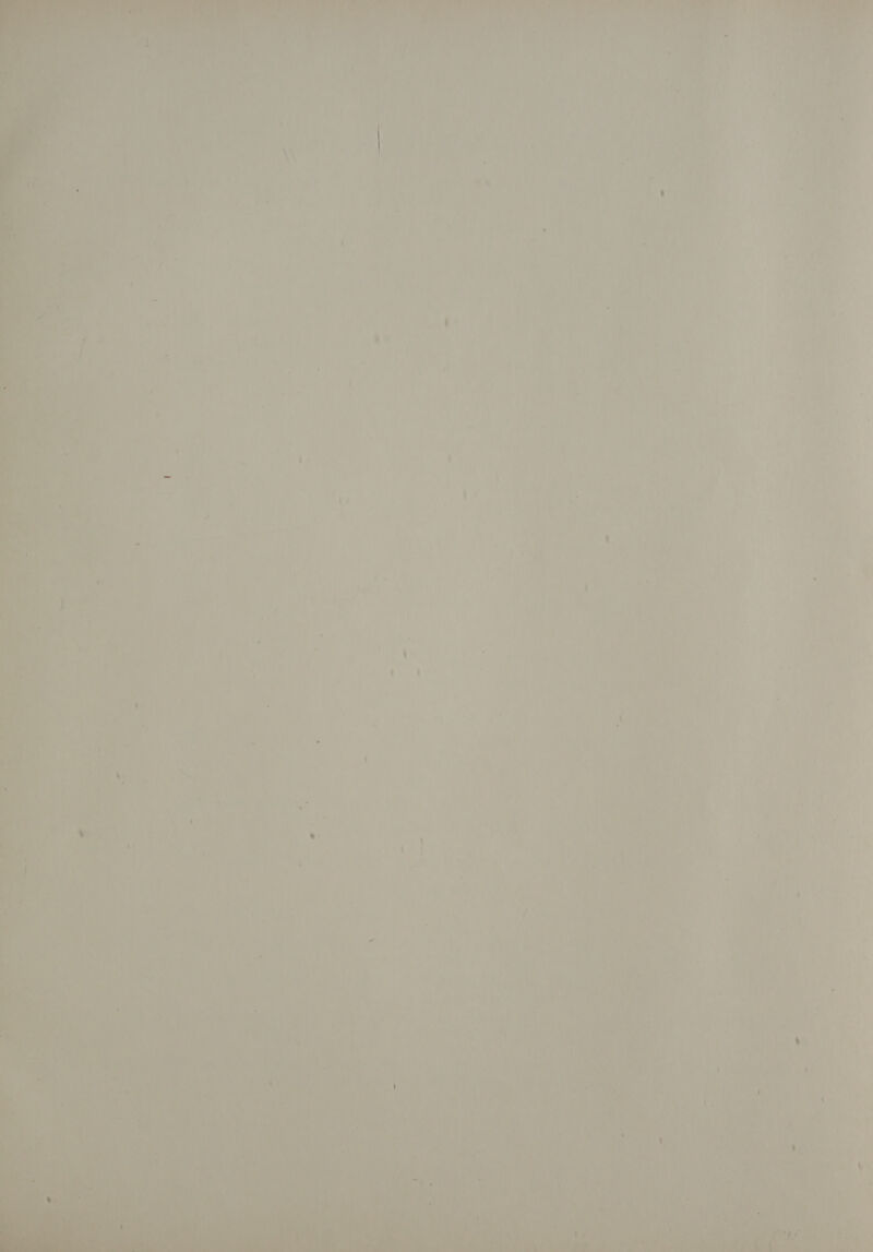 Be i fe ie a oe ne eine i ait? ay ; me air 