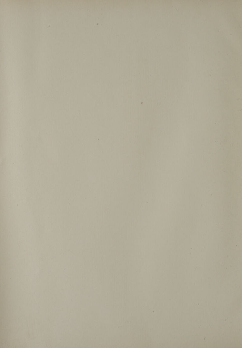  van My oe Ae Ne ne 4 : pa ee Had e ~ oa -