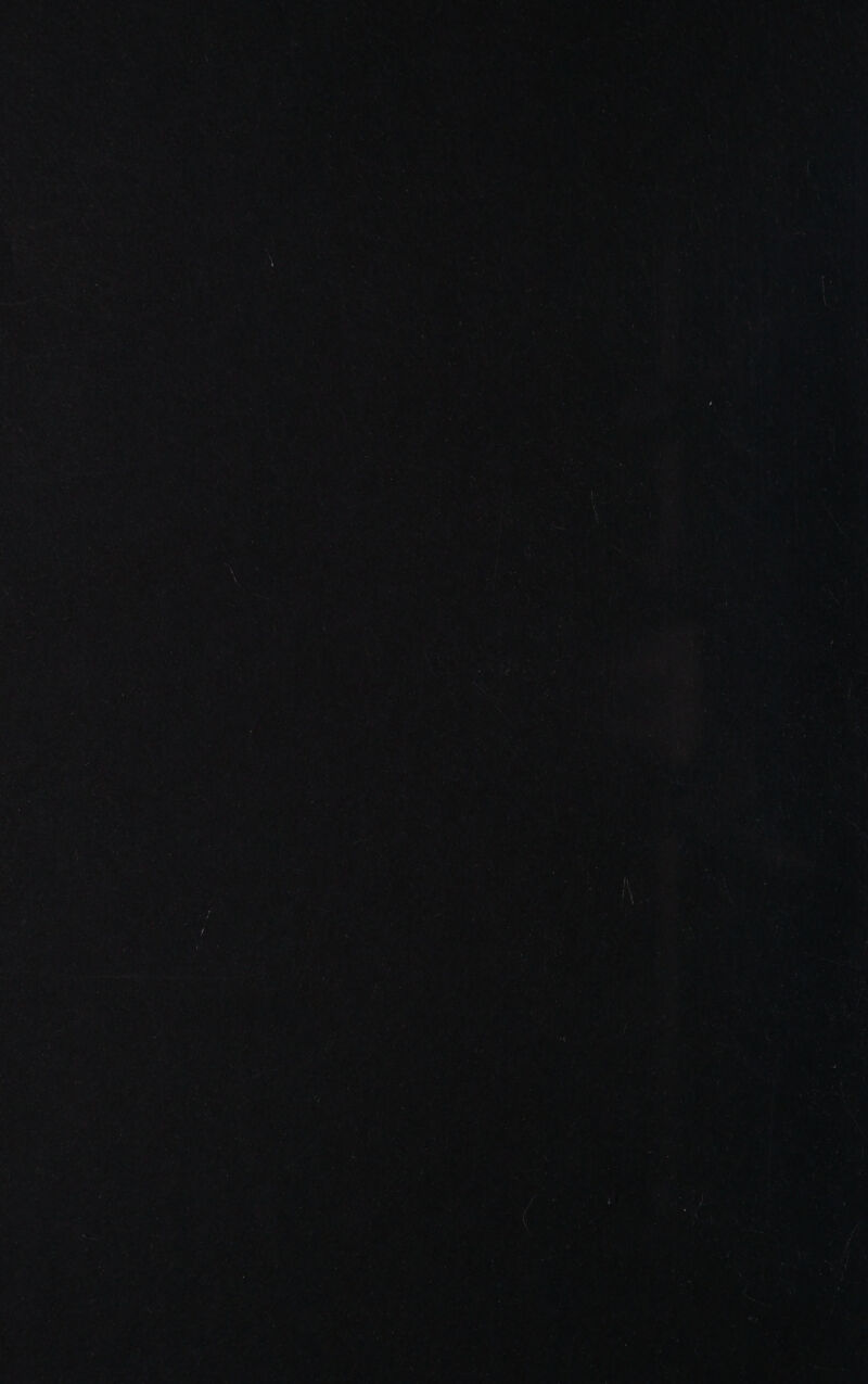 mee Jat 2 p RA See cae) rs P 4 “a arr 7 