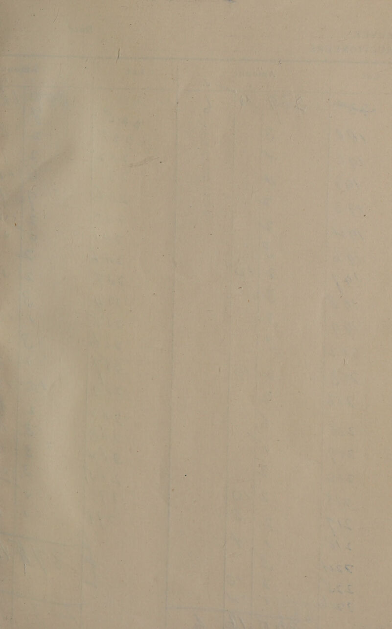       ok I ) 7 : SORA oo ' z yo. Tee. per. 232 P i ey oar , ‘ opal “” - th rk ® al ~/ ae i eee al s a - . rn : NN ’ : ‘ ' af : ' * ioe A - > ee % * Ie i : 4 i v* ze \ ar oe tS het: 4 a1 PS \ a , Se i 3 } rr) . is “ “  v ie : LT a \ i  ; 4 i 4 ‘ ‘ <s a é )) ’ a hy wi “oO a.) a es bi af | ‘4 ' . P + ' &amp; e  . Le be - t Ay + rig j  oy ee