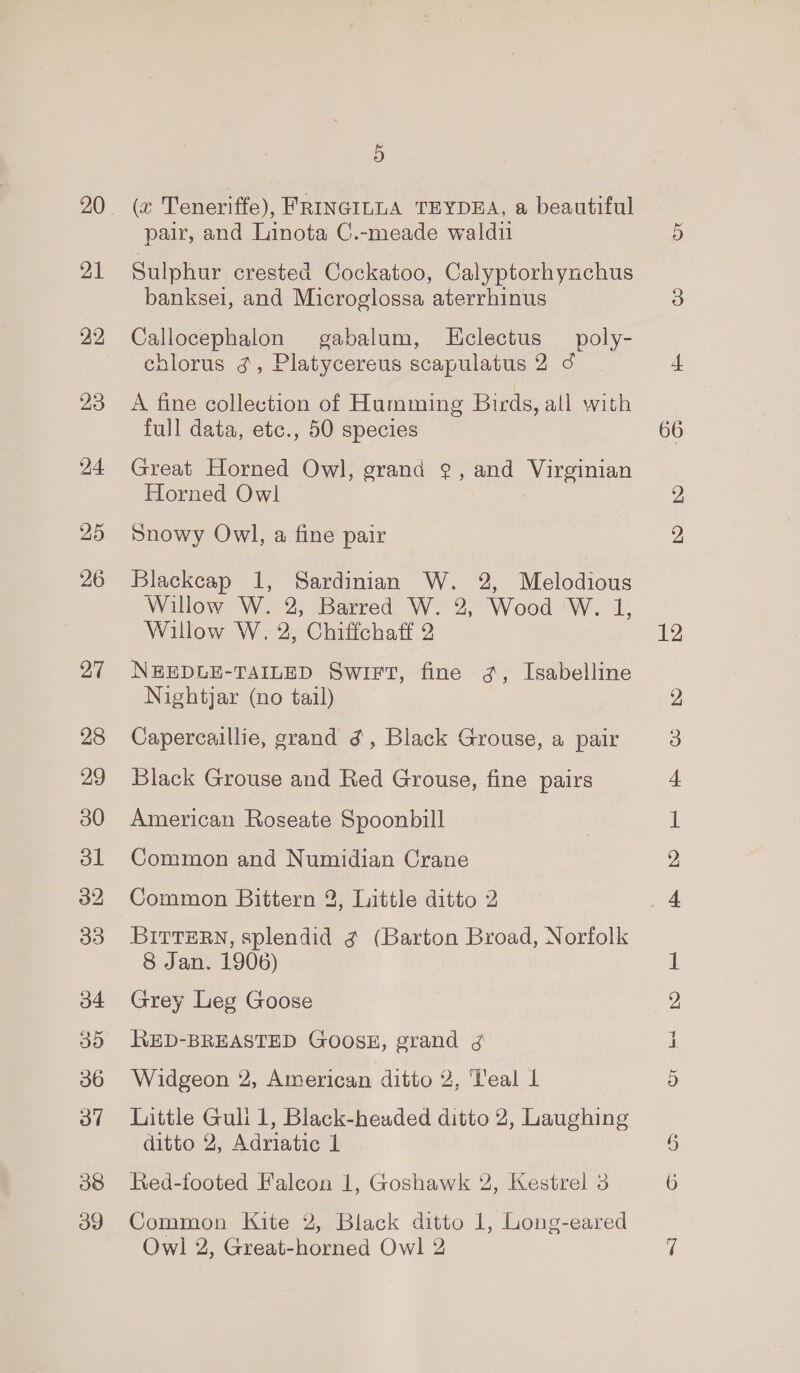 21 27 28 29 30 ol 32 33 o4 35 36 38 39 5 (c Teneriffe), FRINGILLA TEYDEA, a beautiful pair, and Linota C.-meade waldi Sulphur crested Cockatoo, Calyptorhynchus banksei, and Microglossa aterrhinus Callocephalon gabalum, LHclectus poly- chlorus g, Platycereus scapulatus 2 d A fine collection of Humming Birds, all with full data, etc., 50 species Great Horned Owl, grand ¢, and Virginian Horned Owl Snowy Owl, a fine pair Blackcap 1, Sardinian W. 2, Melodious Willow W. 2, Barred W. 2, Wood W. 1, Willow W., 2, Chiffchaff 2 NEEDLE-TAILED SWIFT, fine ¢, Isabelline Nightjar (no tail) Capercaillie, grand ¢, Black Grouse, a pair Black Grouse and Red Grouse, fine pairs American Roseate Spoonbill Common and Numidian Crane Common Bittern 2, Little ditto 2 BITTERN, splendid ¢ (Barton Broad, Norfolk 8 Jan. 1906) Grey Leg Goose RED-BREASTED GOOSH, grand g Widgeon 2, American ditto 2, ‘Teal | Little Guli 1, Black-headed ditto 2, Laughing ditto 2, Adriatic 1 Red-footed Falcon 1, Goshawk 2, Kestrel 3 Common Kite 2, Black ditto 1, Long-eared Owl 2, Great-horned Owl 2 Or 66 12 iS - bo - G co a a None Or Oo