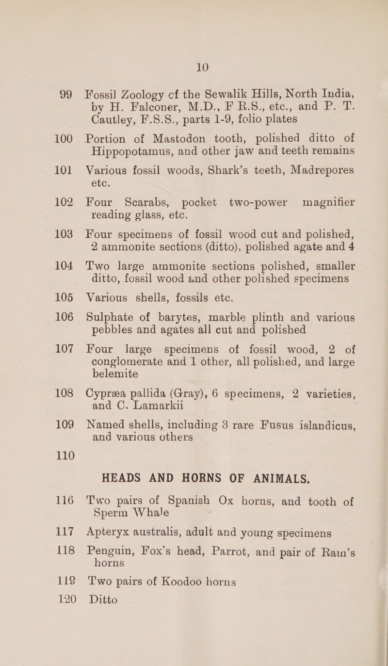 99 100 101 102 103 104 105 106 107 108 109 110 116 iy 118 119 120 10 Fossil Zoology cf the Sewalik Hills, North India, by H. Falconer, M.D., F B.5., etc., and P. T. Cautley, F.S.S., parts 1-9, folio plates Hippopotamus, and other jaw and teeth remains Various fossil woods, Shark’s teeth, Madrepores Cu. Four Scarabs, pocket two-power magnifier reading glass, etc. Four specimens of fossil wood cut and polished, 2 ammonite sections (ditto), polished agate and 4 Two large ammonite sections polished, smaller ditto, fossil wood und other polished specimens Various shells, fossils etc. Sulphate of barytes, marble plinth and various pebbles and agates all cut and polished Four large specimens of fossil wood, 2 of conglomerate and 1 other, all polished, and large belemite Cyprea pallida (Gray), 6 specimens, 2 varieties, and C. Lamarkii Named shells, including 3 rare Fusus islandicus, and various others HEADS AND HORNS OF ANIMALS. Two pairs of Spanish Ox horns, and tooth of Sperm Whale Apteryx australis, adult and young specimens Penguin, Fox’s head, Parrot, and pair of Ratn’s horns T'wo pairs of Koodoo horns Ditto