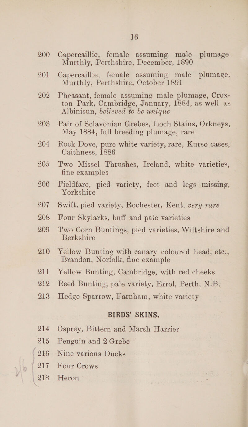 200 201 203 204 205 206 207 208 209 210 211 22 213 214 15 ( 216 { 217 218 16 Capercaillie, female assuming male plumage Murthly, Perthshire, December, 1890 Capercaillie, female assuming male _ plumage, Murthly, Perthshire, October 1891 Pheasant, female assuming male plumage, Crox- ton Park, Cambridge, January, 1884, as well as Albinisun, believed to be unique Pair of Sclavonian Grebes, Loch Stains, Orkneys, May 1884, full breeding plumage, rare Rock Dove, pure white variety, rare, Kurso cases, Caithness, 1886 Two Missel Thrushes, Ireland, white varieties, fine examples Fieldfare, pied variety, feet; and legs missing, Yorkshire Swift, pied variety, Rochester, Kent, very rare Four Skylarks, buff and paie varieties Two Corn Buntings, pied varieties, Wiltshire and Berkshire Yellow Bunting with canary coloured head, etc., Brandon, Norfolk, fine example Yellow Bunting, Cambridge, with red sSties Reed Bunting, pa'e variety, Errol, Perth, N-B. Hedge Sparrow, Farnham, white variety BIRDS’ SKINS. Osprey, Bittern and Marsh Harrier Penguin and 2 Grebe Nine various Ducks Four Crows Heron