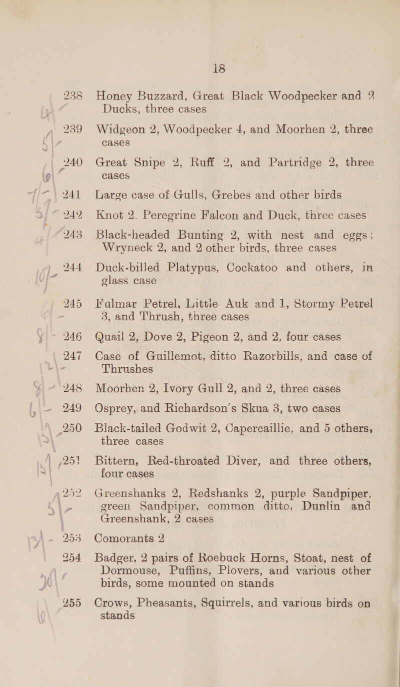 | 247 249 250 \ 251 OBS 18 Honey Buzzard, Great Black Woodpecker and ? Ducks, three cases Widgeon 2, Woodpecker 4, and Moorhen 2, three cases Great Snipe 2, Ruff 2, and Partridge 2, three cases Large case of Gulls, Grebes and other birds Knot 2. Peregrine Falcon and Duck, three cases Black-headed Bunting 2, with nest and eggs; Wryneck 2, and 2 other birds, three cases Duck-billed Platypus, Cockatoo and others, in class case Falmar Petrel, Littie Auk and 1, Stormy Petrel 3, and Thrush, three cases Quail 2, Dove 2, Pigeon 2, and 2, four cases Case of Guillemot, ditto Razorbills, and case of Thrushes Moorhen 2, Ivory Gull 2, and 2, three cases Osprey,.and Richardson's Skua 3, two cases Black-tailed Godwit 2, Capercaillie, and 5 others, three cases Bittern, Red-throated Diver, and three aac four cases Greenshanks 2, Redshanks 2, purple sanapee green Sandpiper, common ditto, Dunlin and Greenshank, 2 cases Comorants 2 Badger, 2 pairs of Roebuck Horns, Stoat, nest of Dormouse, Puffins, Plovers, and various other birds, some mounted on stands Crows, Pheasants, Squirrels, and various birds on stands