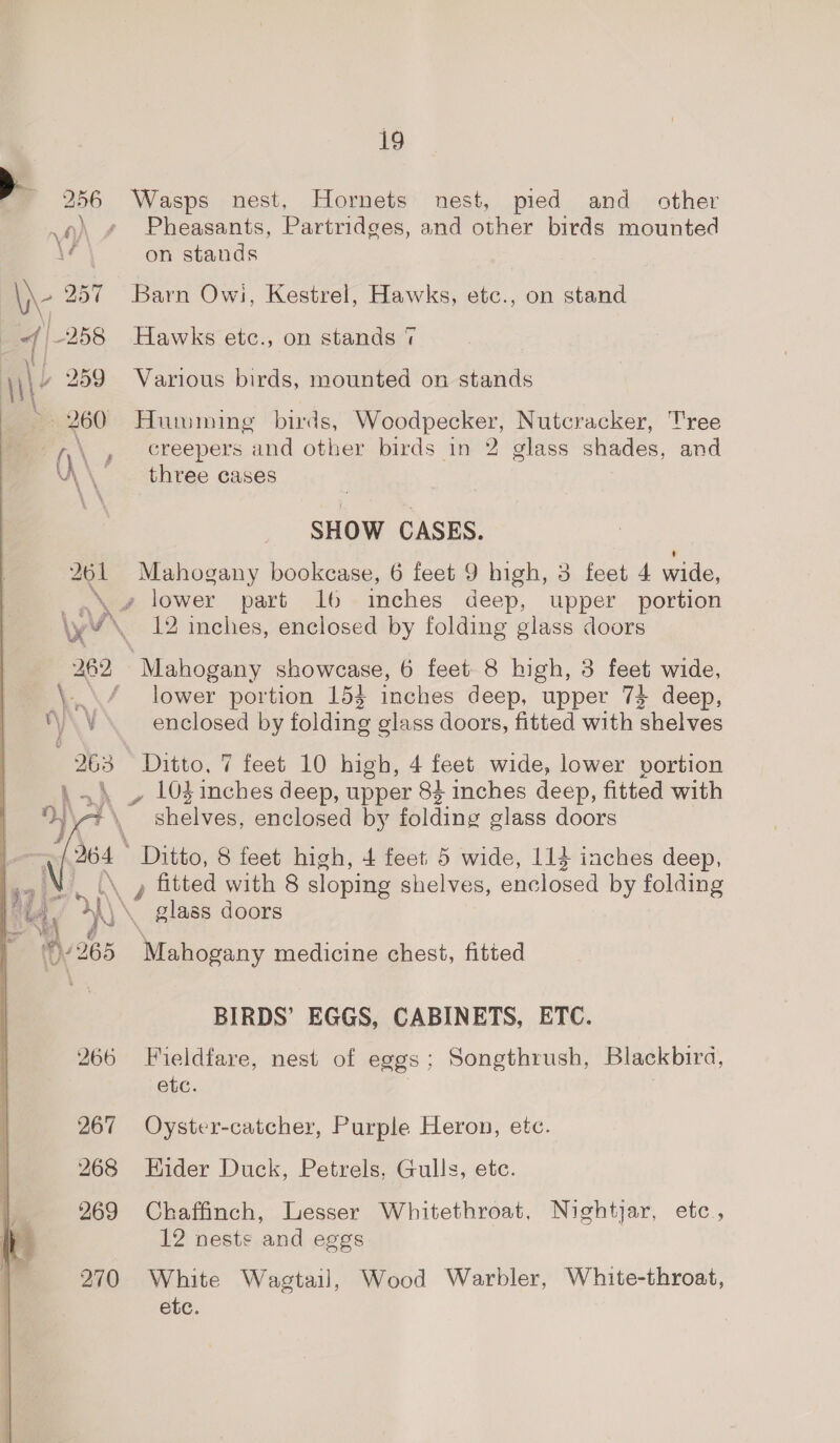 256 AA \é > =4 \- 251 f | -258 { \) 259 i9 Hornets nest, pied and other Pheasants, Partridges, and other birds mounted on stands Barn Owi, Kestrel, Hawks, etec., on stand Hawks etec., on stands 7 Various birds, mounted on stands Humming birds, Woodpecker, Nutcracker, Tree creepers and other birds in 2 glass shades, and three cases SHOW CASES. Mahogany bookcase, 6 feet 9 high, 3 feet 4 wide, part 16 inches deep, upper portion 12 inches, enclosed by folding glass doors Mahogany showcase, 6 feet. 8 high, 3 feet wide, lower portion 153 inches deep, upper 73 deep, enclosed by folding glass doors, fitted with shelves Ditto, 7 feet 10 high, 4 feet wide, lower portion shelves, enclosed by folding glass doors Ditto, 8 feet high, 4 feet 5 wide, 114 inches deep, Mahogany medicine chest, fitted BIRDS’ EGGS, CABINETS, ETC. Fieldfare, nest of eggs; Songthrush, Blackbira, etc. Oyster-catcher, Purple Heron, ete. Eider Duck, Petrels, Gulls, etc. Chaffinch, Lesser Whitethroat, Nightjar, etc., 12 nests and eggs White Wagtail, Wood Warbler, White-throat, etc.
