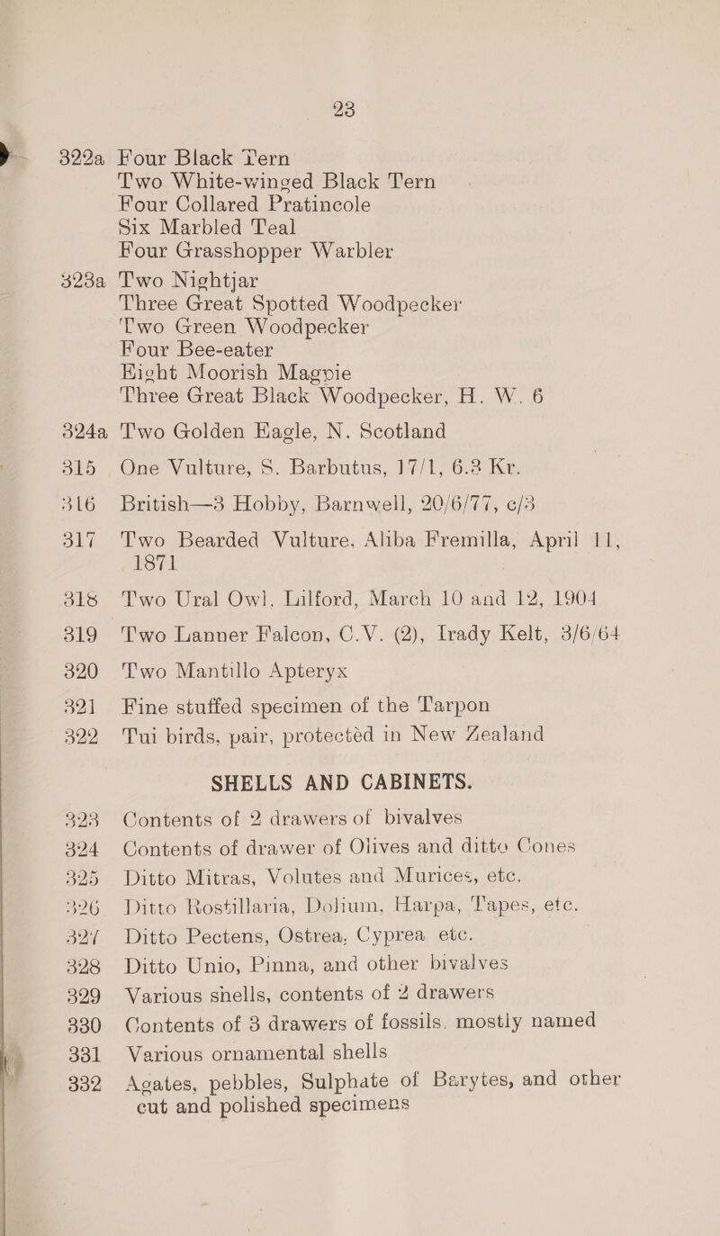 3224, 3234 24a ibe) 5316 317 318 319 320 321 322 220 324 325 326 32'/ 328 329 330 331 332 Four Black Tern Two White-winged Black Tern Four Collared Pratincole Six Marbled Teal Four Grasshopper Warbler Two Nightjar Three Great Spotted Woodpecker Two Green Woodpecker Four Bee-eater Hight Moorish Magpie Three Great Black Woodpecker, H. W. 6 Two Golden HKagle, N. Scotland One Vulture, 5. Barbutus, 17/1, 6.2 Kr British—3 Hobby, Barnwell, 20/6/77, 6/3 Two Bearded Vulture, Alba Fremilla, April 11, 1871 Two Ural Owl, Lilford, March 10 and 12, 1904 Two Mantillo Apteryx Fine stuffed specimen of the Tarpon Tui birds, pair, protected in New Zealand SHELLS AND CABINETS. Contents of 2 drawers of bivalves Contents of drawer of Olives and ditto Cones Ditto Mitras, Volutes and Murices, etc. Ditto Rostillaria, Dolium, Harpa, Tapes, etc. Ditto Pectens, Ostrea, Cyprea etc. Ditto Unio, Pinna, and other bivalves Various shells, contents of 2 drawers Contents of 3 drawers of fossils. mostly named Various ornamental shells Aoates, pebbles, Sulphate of Barytes, and other cut and polished specimens