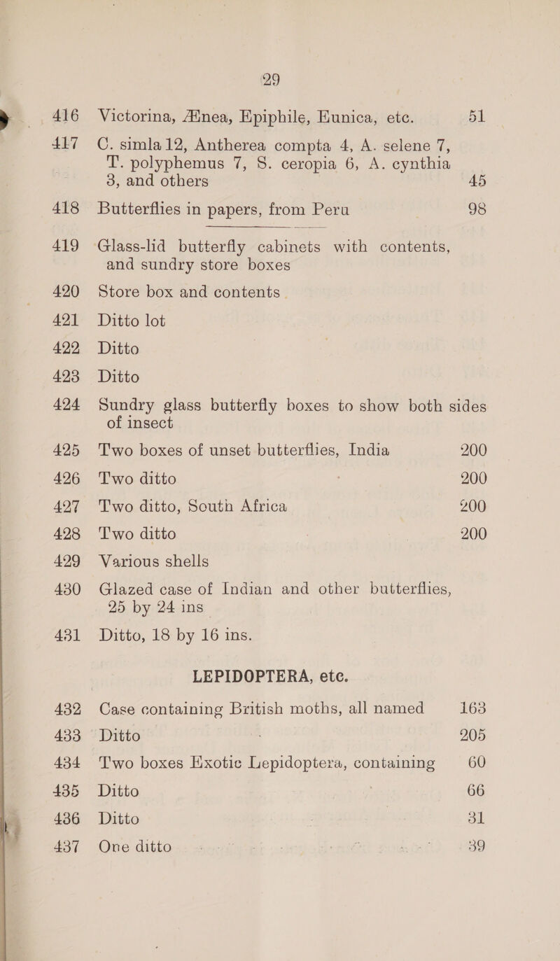~~ 416 417 418 419 420 421 422, 423 424 425 426 427 428 429 430 431 433 434 435 436 437 29 Victorina, Ainea, Epiphile, Eunica, etc. 51 C. simla 12, Antherea compta 4, A. selene 7, T. polyphemus 7, 8. ceropia 6, A. cynthia 3, and others A5 Butterflies in papers, from Peru 98 Glass-lid butterfly cabinets with contents, and sundry store boxes Store box and contents. Ditto lot Ditto Ditto Sundry glass butterfly boxes to show both sides of insect Two boxes of unset butterflies, India 200 Two ditto 200 Two ditto, South Africa 200 ‘T'wo ditto ) 200 Various shells Glazed case of Indian and other butterflies, 25 by 24 ins Ditto, 18 by 16 ins. LEPIDOPTERA, ete. Case containing British moths, all named 163 Ditto 205 Two boxes Exotic Lepidoptera, containing 60 Ditto 7 66 Ditto | | 31 One ditto». 1 : net ae 39