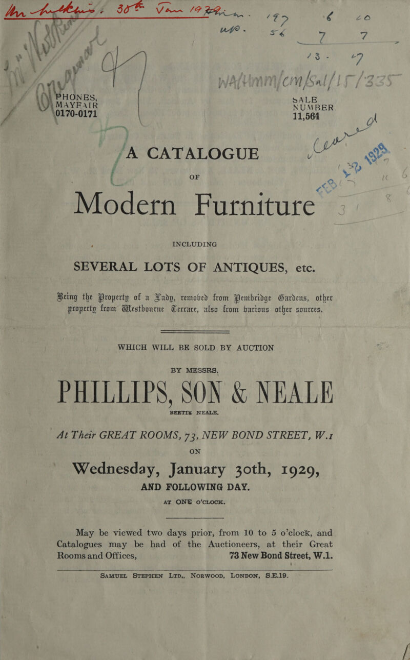 ee ae  : eae Bt 74 4 sf y , VTi £ VAVPPHONES, Ee ?, Wye AYFAIR NUM BER y 0170-0171 11,564 : OF _. ae Modern Furniture INCLUDING SEVERAL LOTS OF ANTIQUES, etc. Being the Property of x PXadp, remobed from Pembridge Gardens, other property trom Westbourne Terrace, also from barious other sources. WHICH WILL BE SOLD BY AUCTION BY MESSRS. PHILLIPS, SON &amp; NEALE BERTIE NEALE, At Their GREAT ROOMS, 73, NEW BOND STREET, W.1 ON Wednesday, January 30th, 1929, AND FOLLOWING DAY. AT ONE O’CLOCE. May be viewed two days prior, from 10 to 5 o’clock, and Catalogues may be had of the Auctioneers, at their Great Rooms and Offices, 73 New Bond Street, W.1.  SAMUEL STEPHEN LTD,, Norwoop, LONDON, S.E.19.