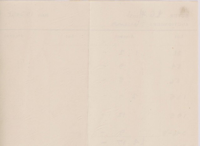 digitised image 3