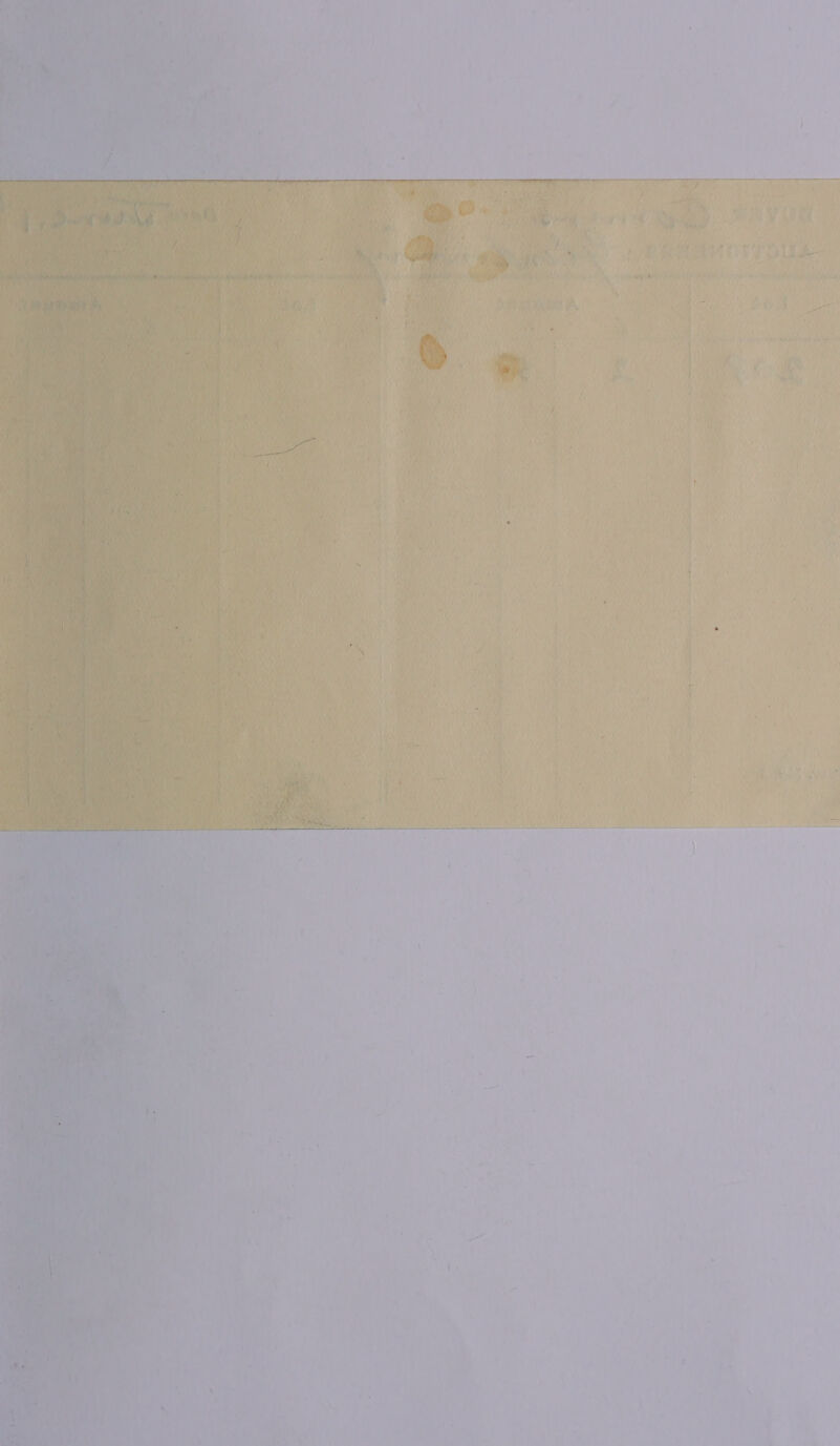  aa ttt i 9 poh wage ¥ is Pay        rt te) ee ee ’ r :            be } fo i ¢ iV n ' 7 iy tara vs ry Ww ; Pl . vy We) et , Meee a wif 1) fae fiat aA fae | 7 ‘ ay Aiea ae | 4 — UE hu) a ay y wy 3 f { { i Va 1 ay ' f ¥ | a Vesey 1; Ly ’ | aan l Fi r : ¥ i} iva ots + / 4 ‘ f Ps f 4 ny iy y ; 4 4 fi ar\) } t Ps f Pee i Pee v= ‘ Ma { , j 0 0 f 7 ; i ral 4 t \ Jy it *: wu a x et he) i ‘ f me are t 4. ¥ a 4 He A ‘ } i 4 ¥ t i ’ i ‘ A yay ij i FS Ls ¥ ' ‘ ia isk} nay : > 4 ; % i A» > iri+ Los is ts) i* text ’ 1%; j lo  ha