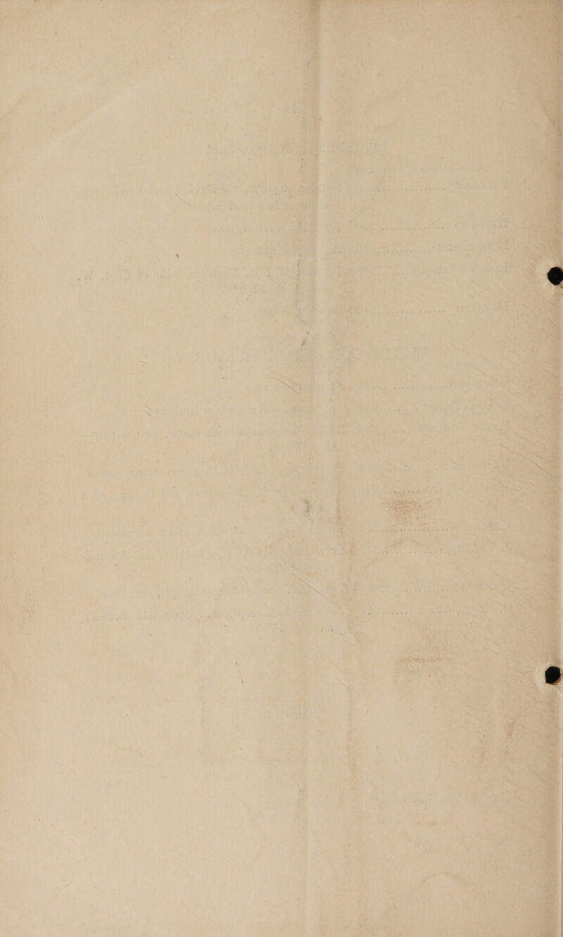 we,  ee ee F ae Se      . Pra ee ae Pee ; WO ie re ee as Pree a ew   4 4 » Pal i? to Ne ae 3 fe f -< tae aes vo Pos - lee ae ‘ x ee &amp; wa —- ‘tel he ag) a A i   ® .            is 7 > 5, > ie . : ae P sates ‘ j ‘ : 4 if ; ‘ ' 4 = &amp; t i Bi  ear ’ ‘ ; ; : ~ ‘ ol ¥ ‘ : ee ; ; r) F =4 i} 4 ba at i nay Set AD ‘ . , ae -1 i . ; oer  - ' a ' ye IE RH at . ; ; a” 1 . O , re, i ae ea ca De + e : < : ; % i i  NM : ‘ x { , ‘ : “a ‘ * $e a t &amp; ~ a re os La bs igh a ; at : x yy 4 a ‘ r ‘ ty 