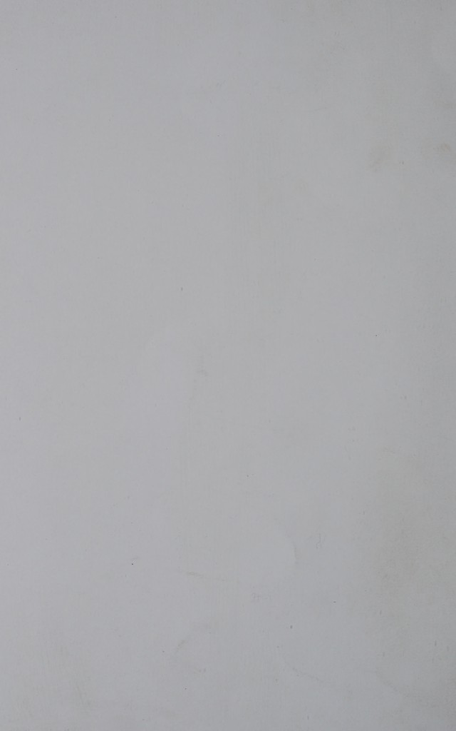 digitised image 2