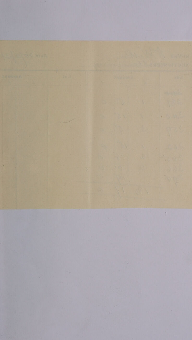     “a py ae ; ie ay j “as avi Gt 7 suk connor] Deb aggre sildieetah sel a rire eee  ; evaratost 2 ; ieee tl ard    / ; J “ 7 % \ s » . ‘ t + . rey * ) \ ‘ ¥ [ ? ‘ * : : - +) oh . a . o ‘ ‘ +7) ( f 1 t= 3 he 7 \ ' ; ) *% ran ay i 5a} , \ 4 ; Oe a | . \ 5 al 2 La f aah ' i ‘ : Sy |. ? . \ ry A - Ms nde * Ae 4 “ 7 i; } t \ ? 1 i - - : ‘ ‘ : ~ 4: \