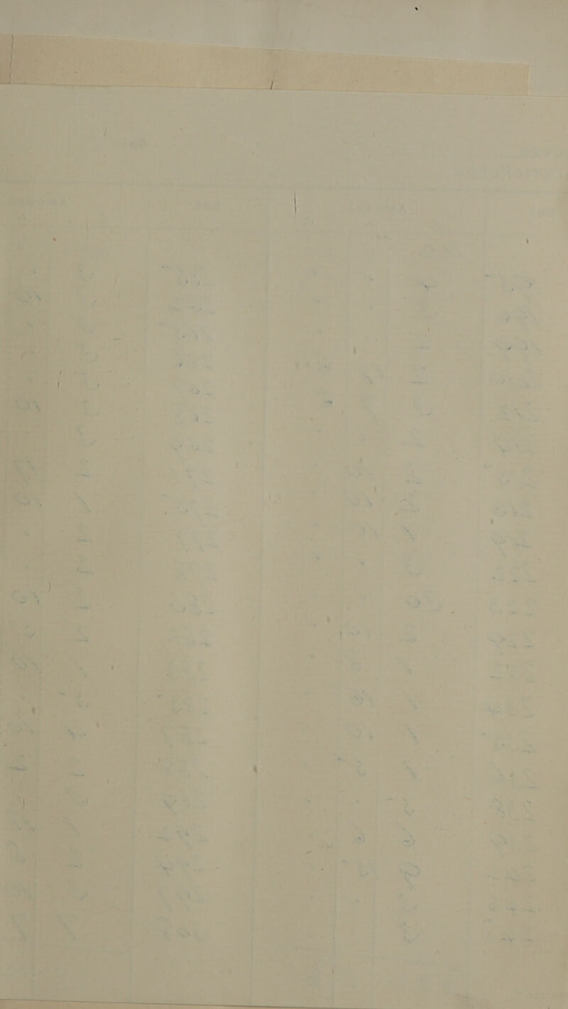 Soe ns ° iy gaat rae 7 “ SP cee Spee hy ssi dace donee Neils eee joy Can, — oe Z ’ , 2 at et es Le NRA ' 4 Sa ae Oe Nip Am Mee hd a Moat . rf ie : Ey aT i whey ' le 1 a 7 : = 2 = —_— = ri’... A — » : ; : aes ee ? é 