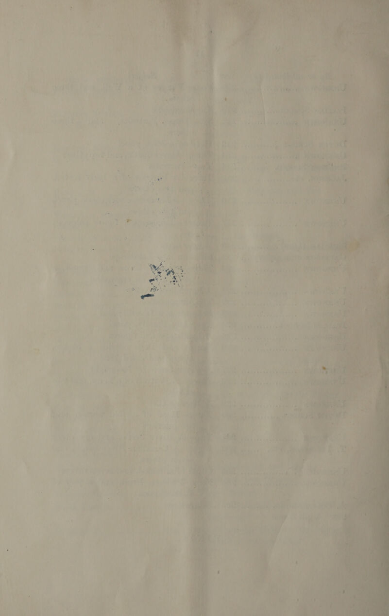  ees ey i . ™      1 ie ne  