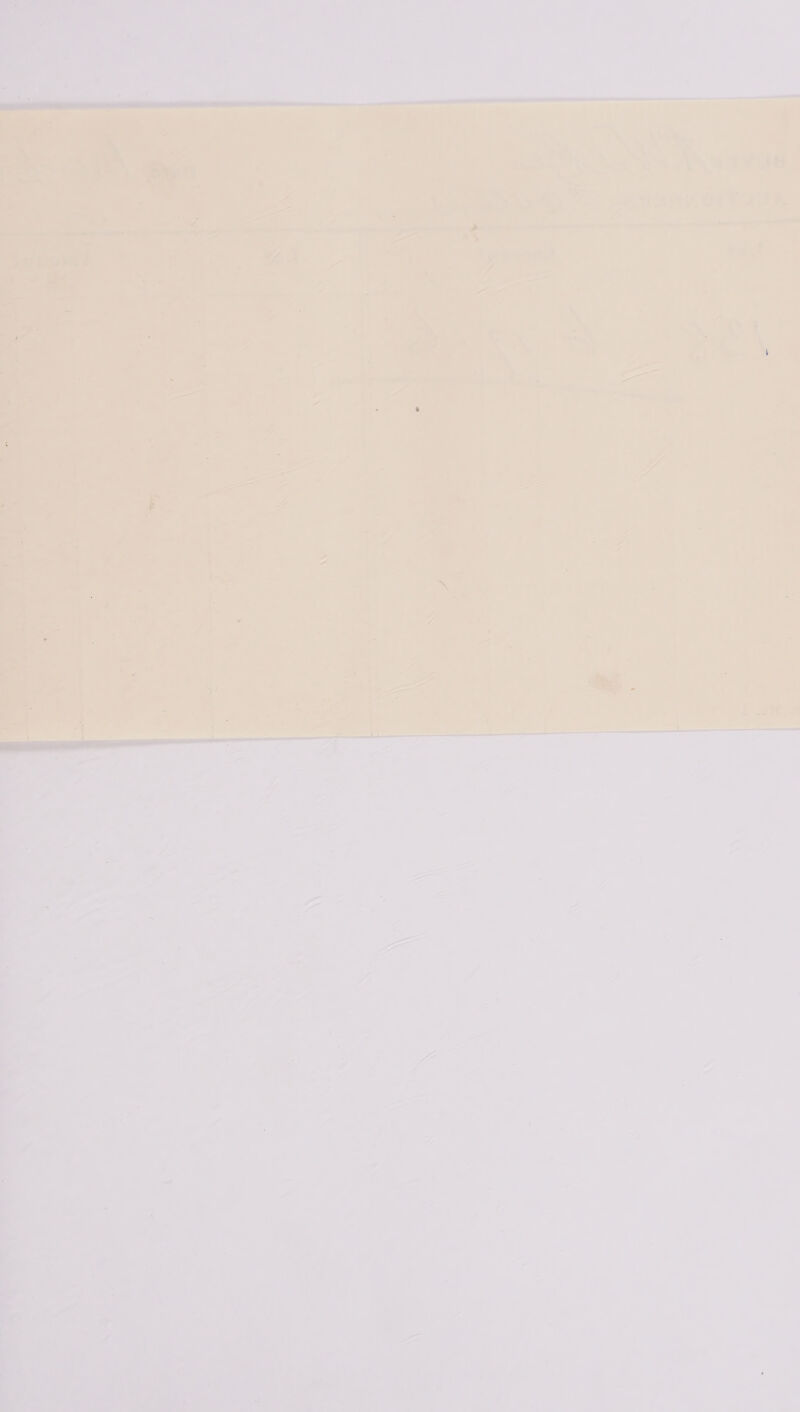 ‘fe a “WA ; Paina =—— a * | ee + ea. s] a ib ¥ 4 aay sary —s s ; veN z= tit oi (hj a 4 ae 