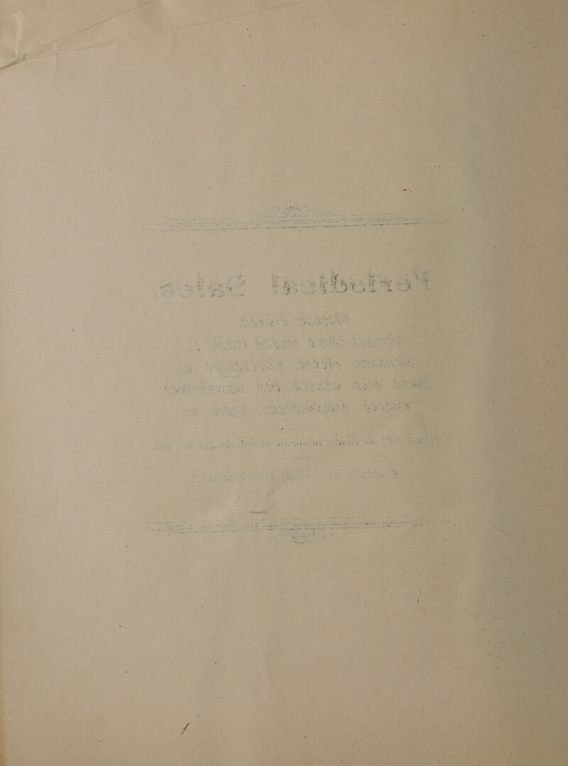be al °: ae        \ el —- asec’ : ee . te es ? or ; ‘ rom . ” ‘ : »: f - A 5 ~ cat “y HY ; . , 4 “ bi 1 ‘ = ( ‘ | a 4 . J - - - = 2 : oy . ia 5 Reals | “Bball heal gue ey aba | a scree oon ties Na: Rote tah anes el ER acai a Ree oa &lt; F zs “cee nay sis eet obey aiens eslaeay Gane aerate See te te ete t -   Rist Cee a 1h 