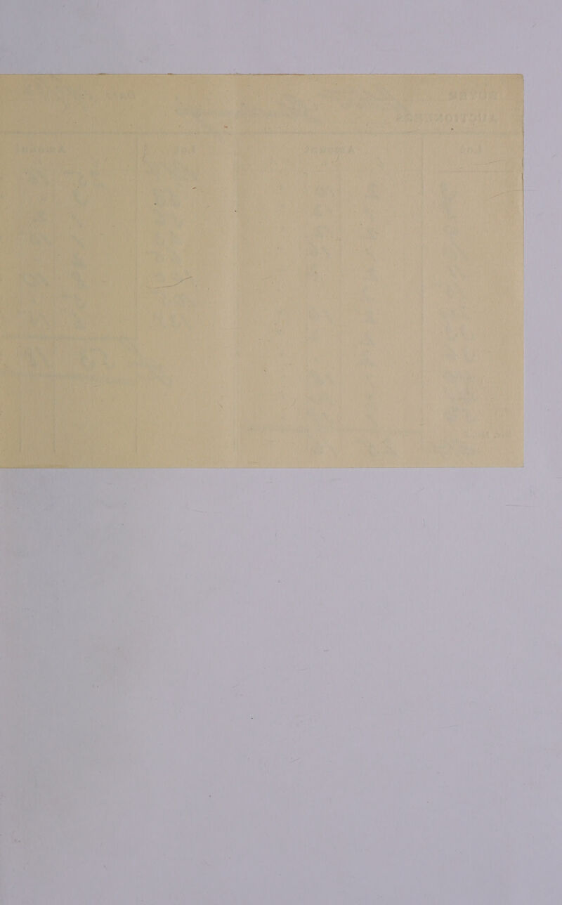   Hits: Thm iene    es . = = =; s “ae : as ~~ ; et ne A ae 7 1 ae aN ae eee PS ae Zulia a we = “ S es = eal a om &gt;. : 5 oN ee ‘iy ieee Tie Phe 4 ¥ “4 ir 1     —_   os Ne ee      ht em                       re rei vi fice \ ; un) oN es OR Sy, Ty ae wig i: hiv i fue. eat dae Rieke J rat he , ‘ Nha cig A rb By ptt Dt Tae Kay CA niiae i ‘ | ; Tne ‘ Hh t mh Tava, Te Ha rah ¢ oy ie “of Noi i Mes ais ts wh, ‘I WW rey i, t K ra f i yy i é A’ 4 bia ~ i a ee bias | 1? ‘ ie , Oe ee Lei M nat | era eet i dol j Pal ‘ ‘ % % \ ' i - i ‘&gt; e 1 — a i i 7 *  , : 4 * = . —_— ‘ 8 ae » ’ 2 ’ F i « . | r + ae i ° J 1 4 - a é be q 7: al } / a * iia = » 4 . waa \ x i 4 - 4 = Ss : 4 [. e , ae _ ves ° , y or Se he é Cm 1 a ow ied &gt; F 