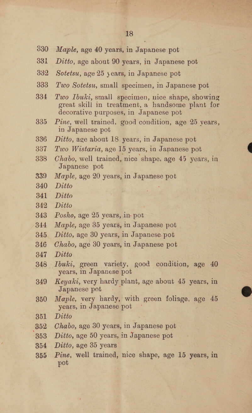 030 O3t 332 333 334 330 336 337 338 339 340 341 349 343 344 345 346 847 348 349 350 B52 353 354 18 Maple, age 40 years, in Japanese pot Ditto, age about 90 years, in Japanese pot Sotetsu, age 25 years, in Japanese pot Two Sotetsu, small specimen, in Japanese pot Two Ibuki, small specimen, nice shape, showing great skill in treatment, a handsome plant for decorative purposes, in Japanese pot Pine, well trained, good condition, age 25 years, in Japanese pot Ditto, age about 18 years, in Japanese pot Two Wistaria, age 15 years, in Japanese pot Chabo, well trained, nice shape, age 45 years, in Japanese pot Maple, age 20 years, in ee pot Ditto Ditto Ditto Posho, age 25 years, in- pot Maple, age 85 years, in Japanese pot Ditto, age 30 years, in Japanese pot Chabo, age 30 years, in Japanese pot Ditto Ibuki, green variety, good condition, age 40 years, in Japanese pot Keyakt, very hardy plant, age about 45 years, in Japanese pot Maple, very hardy, with green foliage, age 45 Chabo, age 30 years, in Soares pot | Ditto, age 50 years, in Japanese pot Ditto, age 35 years” pot 