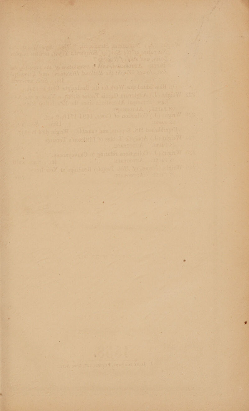 ie S < SAV ty as, ee, p eae ol old sat eWan aisle fh: aid soilll ¥ aid 135) gxotold ah £0) uh 7 Tie merens ey 5 sane, g erorrasiA iganfousred) Trt oe po og ‘ae are ; ree apors A hagas ee PF i 4 , ae Atty SE aoaKo 46 roxtsallc x) (0) idan deat tlt eee : P ; % ) eS Ke : ee We veld Aan ier, “toi 3 Dh elt 5 ane iidy WqreU ok Patt asl T to aeld oy Sid viet A ti) ints We WE ASE yee 0 eae fs MLE sun{evn00 5 Os gout angela Ae y drisit a “s ’ a2) me Bee Paste 4; at de agi: fisoil ( see pen gets oes ; — Paes i Yipeatat ice, PvE Husk LF 