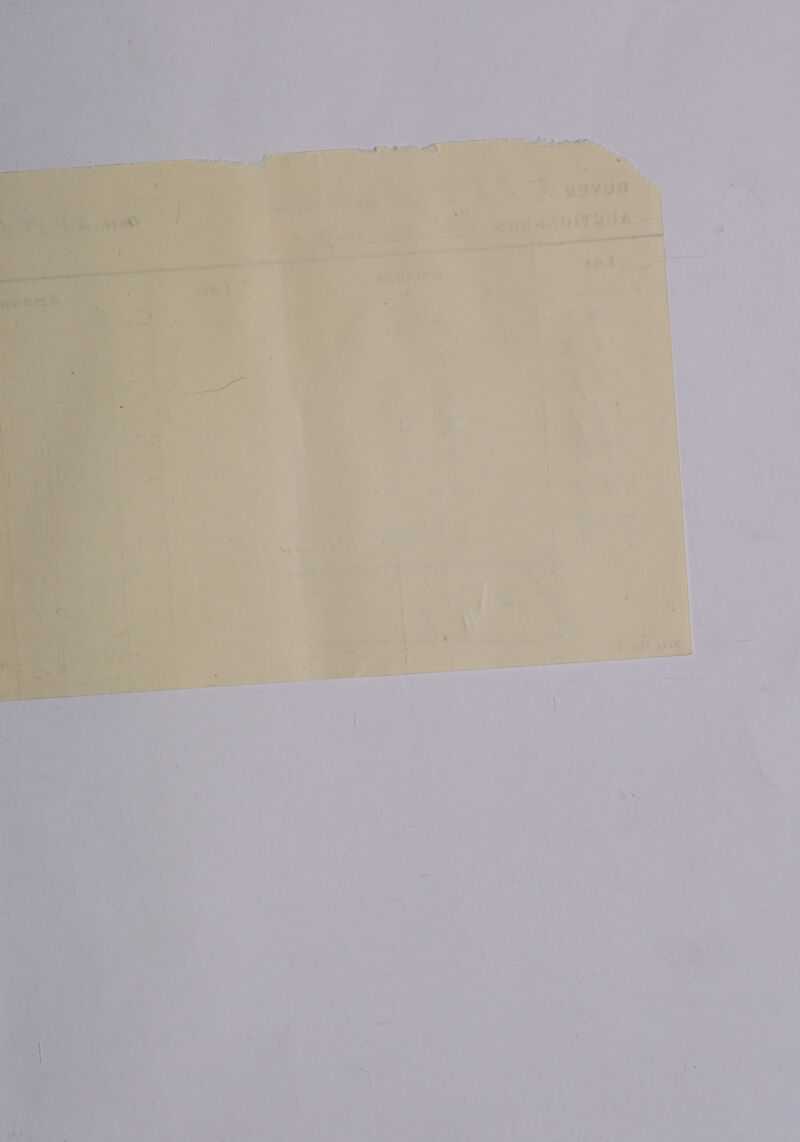  iach he ei ae , oy a7 7 aa ’ - , os an ih baht a a | 5 pa | 8 FOR th wr : . | “ p “ify A ! 4 | zi i 7 “* ‘ | 7 | | | | = z es : | 4: i = % } NX ‘ ‘ > f/ | : te, i ‘ be 7 £ mS , ‘ - i Z- ‘ i ‘