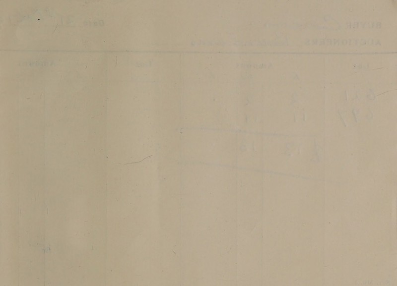 ta  hoe J one ‘ev s ~ ae | 4) } at « y  rata hs . 2RAAVOL Pou, ——— be a a ~? teat : ii _ ‘\ ; 4