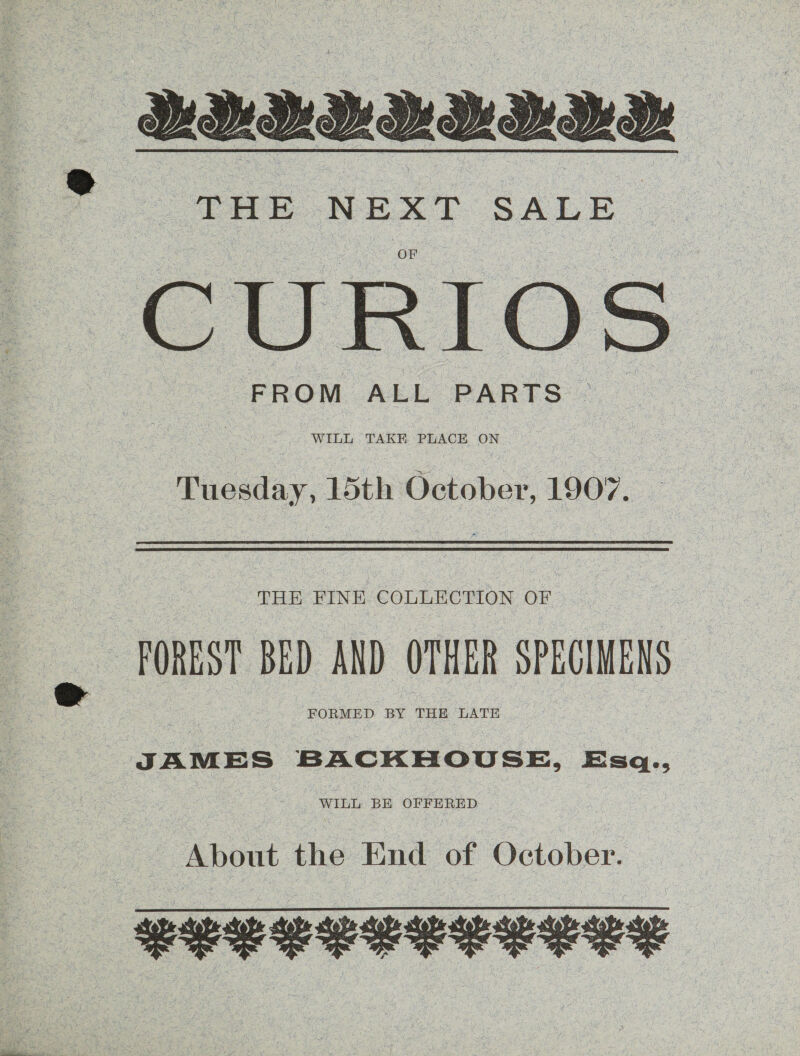   Tuesday, 15th October, 1907. — THE FINE COLLECTION OF FOREST BED AND OTHER SPECIMENS JAMES ieneneue, Esq., About the End of October. PELEELE SSE LYS
