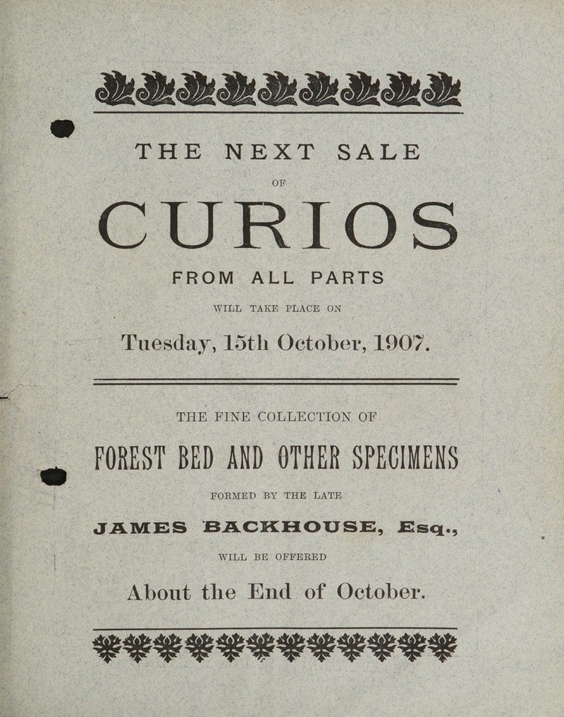 : ; THE NEXT SALE CURIOS FROM ALL PARTS  WILL TAKE PLACE ON Tuesday, 15th October, 1907. THE FINE COLLECTION OF. - FOREST BED AND OTHER SPECIMENS FORMED BY THE LATE @ j ! ¥ - JAMES BACKHOUSE, Esq.,_ WILL BE OFFERED About the End of October. eeeeeeqereee