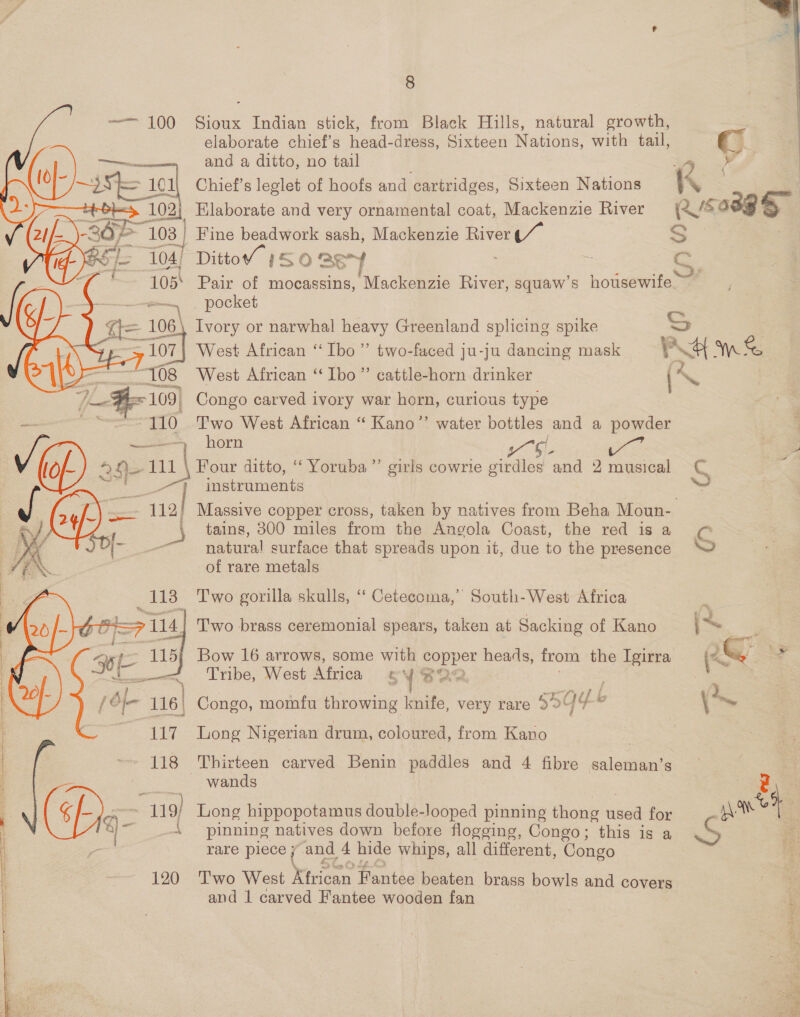 —— 100 Sioux Indian stick, from Black Hills, natural growth, elaborate chief’s head-dress, Sixteen Nations, with tail, ( and a ditto, no tail lof Ew a Chief’s leglet of hoofs and cartridges, Sixteen Nations K = Ar Elaborate and very ornamental coat, Mackenzie River oa = 4 04) Ditto” 7S oaSyf - = ay Pair of mocassins, Mackenzie River, squaw’s housewife pocket \ Ivory or narwhal heavy Greenland splicing spike West African “Ibo” two-faced ju-ju dancing mask Aa en 8 West African “Ibo” cattle-horn drinker (’ N | eae carved ivory war horn, = type horn be \ Four ditto, ‘‘ Yoruba ”’ girls cowrie girdles and 2 musical € instruments red | Massive copper cross, taken by natives from Beha ep tains, 300 miles from the Angola Coast, the red is C natura! surface that spreads upon it, due to the eg So of rare metals Two gorilla skulls, ‘‘ Cetecoma,’ South-West Africa | Two brass ceremonial spears, taken at Sacking of Kano i~ Bow 16 arrows, some with zepper heads, from the Igirra (~ q’ Tribe, West Africa = ¥ ee) | Congo, momfu throwing lite very rare 5° Gs fe \~ Long Nigerian drum, coloured, from Kano Thirteen carved Benin pres and 4 fibre sulci: Ota | wands 3 ( Long hippopotamus double- Jooped pinning thong aie for aan’ pinning natives down before flogging, Congo; this is a S rare piece ( and 4 hide whips, all different, Congo  120 Two West Niger Deuted beaten brass bowls and covers and 1 carved Fantee wooden fan