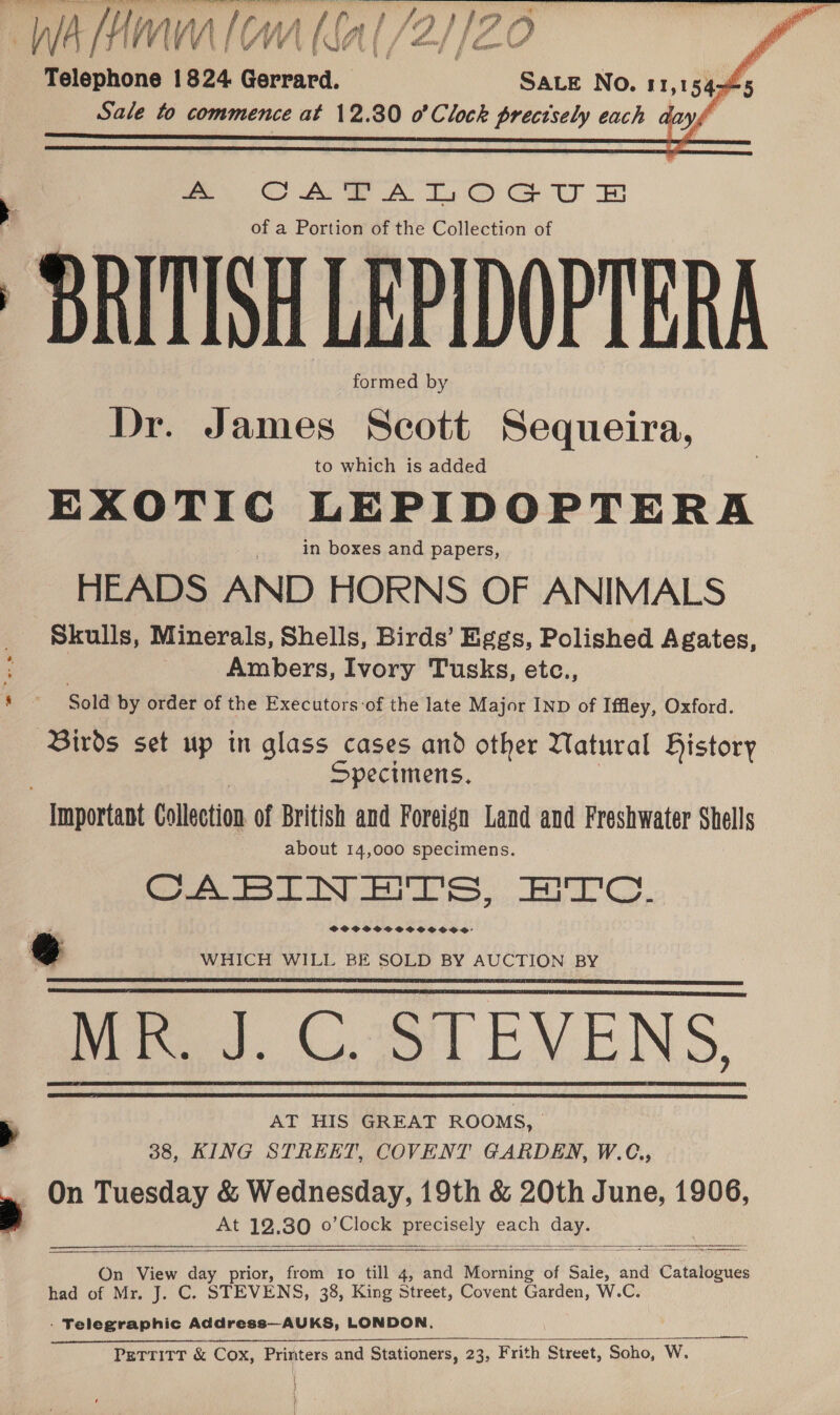 —llbebly a al SaLe No. 11,5445 Sale to commence at 12.30 0 oC lock precisely each days  ae CPA A Las OO Ce UO of a Portion of the Collection of BRITISH LEPIDOPTERA formed by Dr. James Scott Sequeira, to which is added EXOTIC LEPIDOPTERA in boxes and papers, HEADS AND HORNS OF ANIMALS Skulls, Minerals, Shells, Birds’ Eggs, Polished Agates, ; , Ambers, Ivory Tusks, etc., Sold by order of the Executors-of the late Major IND of Iffley, Oxford. Birds set up in glass cases and other Matural History Specimens, | Important Collection of British and Foreign Land and Freshwater Shells about 14,000 specimens. CABINETS, Tc. SOSSOTOSLCCCS @ WHICH WILL BE SOLD BY AUCTION BY MR. J. C. STEVENS, AT HIS GREAT ROOMS, 38, KING STREET, COVENT GARDEN, W.C, On Tuesday &amp; Wednesday, 19th &amp; 20th June, 1906, At 12. 30 o’Clock Ee cely, each cat,         On View day prior, from to till 4, and hein’ of Saie, and Catalogues had of Mr. J. C. STEVENS, 38, King Street, Covent Garden, W.C. - Telegraphic Address—AUKS, LONDON, PETTITT &amp; Cox, Printers and Stationers, 23, Frith Street, Soho, W. { }