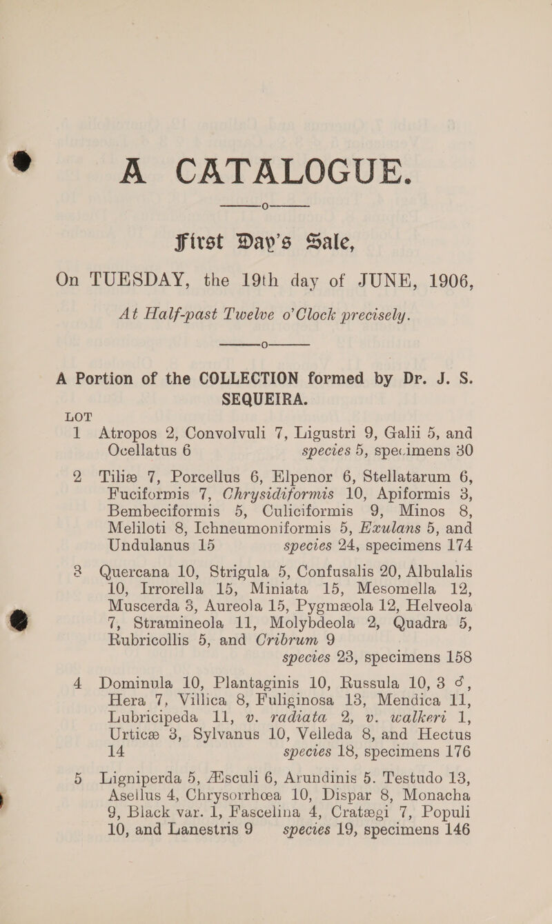 A CATALOGUE. O SJirst Dav’s Sale, On TUESDAY, the 19th day of JUNH, 1906, At Half-past Twelve o’Clock precisely.     Oo A Portion of the COLLECTION formed by Dr. J. S. SEQUEIRA. LOT 1 Atropos 2, Convolvuli 7, Ligustri 9, Gali 5, and Ocellatus 6 species 5, specimens 40 2 Tilie 7, Porcellus 6, Elpenor 6, Stellatarum 6, Fuciformis 7, Chrysidiformis 10, Apiformis 38, Bembeciformis 5, Culiciformis 9, Minos 8, Meliloti 8, Ichneumoniformis 5, Hxulans 5, and Undulanus 15 species 24, specimens 174 2 Quercana 10, Strigula 5, Confusalis 20, Albulalis 10, Irrorella 15, Miniata 15, Mesomella 12, Muscerda 5, Aureola 15, Pygmeola 12, Helveola 7, Stramineola iP, Molybdeola 2, Quadra 5, Rubricollis 5, and Oribrum 9 species 23, specimens 158 4 Dominula 10, Plantaginis 10, Russula 10,38 ¢, Hera 7, Villica 8, Fuliginosa 18, Mendica 11, Lubricipeda 11, v. radiata 2, v. walkers I, Urtice 3, Sylvanus 10, Velleda 8, and Hectus 14 species 18, specimens 176 5 Ligniperda 5, Aisculi 6, Avundinis 5. Testudo 18, Asellus 4, Chrysorrhoea 10, Dispar 8, Monacha 9, Black var. 1, Fascelina 4, Crateoei 7, Populi