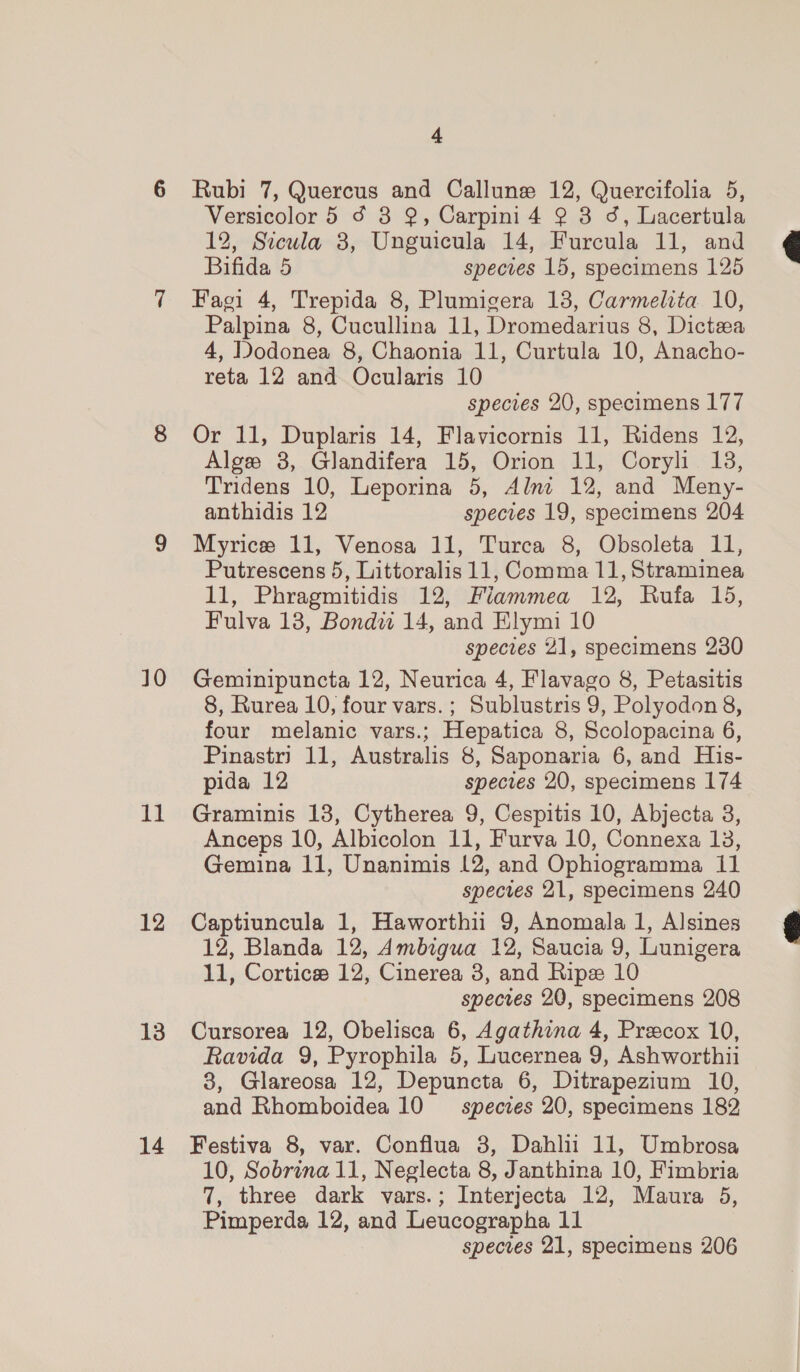 11 12 13 14 4 Rubi 7, Quercus and Callune 12, Quercifolia 5, Versicolor 5 ¢ 3 9, Carpini 4 ? 3 d, Lacertula 12, Sicula 3, Unguicula 14, Furcula 11, and Bifida 5 species 15, specimens 125 Faci 4, Trepida 8, Plumigera 18, Carmelita 10, Palpina 8, Cucullina 11, Dromedarius 8, Dictzea 4, Dodonea 8, Chaonia 11, Curtula 10, Anacho- reta 12 and Ocularis 10 species 20, specimens 177 Or 11, Duplaris 14, Flavicornis 11, Ridens 12, Alge 8, Glandifera 15, Orion 11, Coryh 138, Tridens 10, Leporina 5, Alm 12, and Meny- anthidis 12 species 19, specimens 204 Myrice 11, Venosa 11, Turca 8, Obsoleta 11, Putrescens 5, Littoralis 11, Comma 11, Straminea 11, Phragmitidis 12, Flammea 12, Rufa 15, Fulva 13, Bondw 14, and Elymi 10 species 21, specimens 230 8, Rurea 10, four vars.; Sublustris 9, Polyodon 8, four melanic vars.; Hepatica 8, Scolopacina 6, Pinastri 11, Australis 8, Saponaria 6, and His- pida 12 species 20, specimens 174 Graminis 18, Cytherea 9, Cespitis 10, Abjecta 8, Anceps 10, Albicolon 11, Furva 10, Connexa 13, Gemina 11, Unanimis 12, and Ophiogramma 11 species 21, specimens 240 Captiuncula 1, Haworthii 9, Anomala 1, Alsines 12, Blanda 12, Ambigua 12, Saucia 9, Lunigera 11, Cortice 12, Cinerea 3, and Ripe 10 species 20, specimens 208 Cursorea 12, Obelisca 6, Agathina 4, Preecox 10, Ravida 9, Pyrophila 5, Lucernea 9, Ashworthii 8, Glareosa 12, Depuncta 6, Ditrapezium 10, and Rhomboidea 10 _— specves 20, specimens 182 Festiva 8, var. Conflua 3, Dahlii 11, Umbrosa 10, Sobrina 11, Neglecta 8, Janthina 10, Fimbria 7, three dark vars.; Interjecta 12, Maura 5, Pimperda 12, and Leucographa 11 species 21, specimens 206  