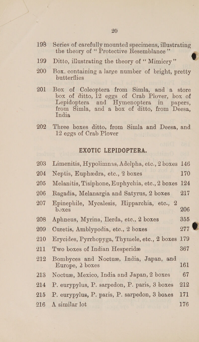 198 Series of carefully mounted specimens, illustrating the theory of ‘‘ Protective Resemblance ”’  199 Ditto, illustrating the theory of ‘‘ Mimicry”’ 200 Box, containing a large number of bright, pretty butterflies 201 Box of Coleoptera from Simla, and a store box of ditto, 12 eggs of Crab Plover, box of Lepidoptera and Hymenoptera in papers, from Simla, and a box of ditto, from Deesa, India 202 Three boxes ditto, from Simla and Deesa, and 12 eggs of Crab Plover EXOTIC LEPIDOPTERA. 203 Limenitis, Hypolimnas, Adelpha, etc.,2 boxes 146 204 Neptis, Hupheedra, etc., 2 boxes 170 205 Melanitis, Tistphone, Euphychia, etc.,2 boxes 124 206 Ragadia, Melanargia and Satyrus, 2 boxes 217 207 Epinephile, Mycalesis, Hipparchia, etc., 2  boxes 206 208 Aphneus, Myrina, Ilerda, etc., 2 boxes 355 209 Curetis, Amblypodia, etc., 2 boxes 277 210 Erycides, Pyrrhopyga, Thymele, etc., 2 boxes 179 211 ‘T'wo boxes of Indian Hesperides 367 212 Bombyces and Noctue, India, Japan, and Europe, 2 boxes 161 213 Noctus, Mexico, India and Japan, 2 boxes 67 214 PP. eurypylus, P. sarpedon, P. paris, 3 boxes 212 215 BP. eurypylus, P. paris, P. sarpedon, 3 boxes 171 216 A similar lot 176