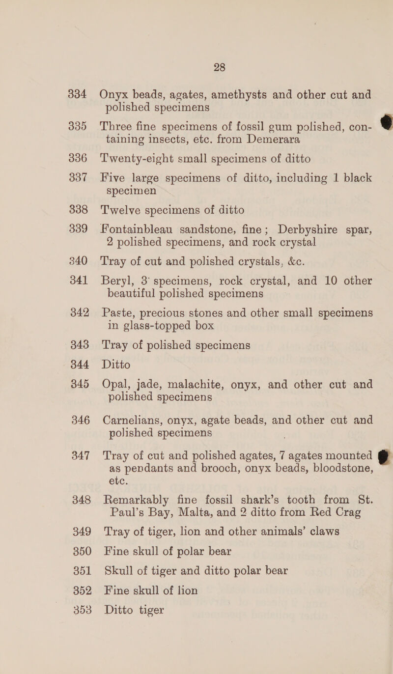 334 Onyx beads, agates, amethysts and other cut and polished specimens  335 Three fine specimens of fossil gum polished, con- taining insects, etc. from Demerara 336 ‘Twenty-eight small specimens of ditto 337 Five large specimens of ditto, including 1 black specimen 338 Twelve specimens of ditto 339 Fontainbleau sandstone, fine; Derbyshire spar, 2 polished specimens, and rock crystal 340 Tray of cut and polished crystals, &amp;c. 3041 Beryl, 3° specimens, rock crystal, and 10 other beautiful polished specimens 342 Paste, precious stones and other small specimens in glass-topped box 3843 Tray of polished specimens 344 Ditto 345 Opal, jade, malachite, onyx, and other cut and polished specimens 346 Carnelians, onyx, agate beads, and other cut and polished specimens 347 Tray of cut and polished agates, 7 agates mounted @&amp; as pendants and brooch, onyx beads, bloodstone, etc. 348 Remarkably fine fossil shark’s tooth from St. Paul’s Bay, Malta, and 2 ditto from Red Crag 349 ‘Tray of tiger, lion and other animals’ claws 350 Fine skull of polar bear 351 Skull of tiger and ditto polar bear 352 Fine skull of lion 353 Ditto tiger