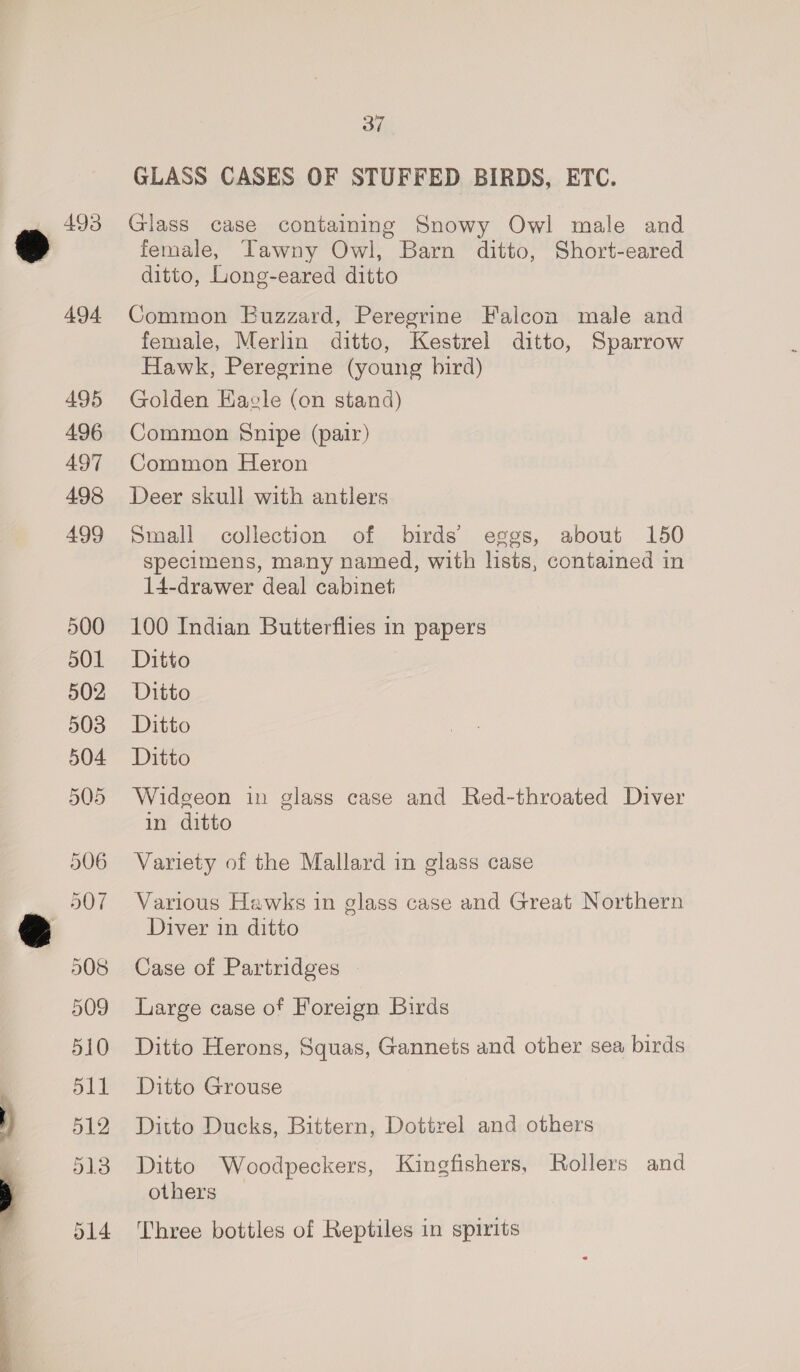 —— 493 494 495 496 497 498 499 500 502 505 908 509 510 511 512 513 GLASS CASES OF STUFFED BIRDS, ETC. Glass case containing Snowy Owl male and female, Tawny Owl, Barn ditto, Short-eared ditto, Long-eared ditto Common Buzzard, Peregrine Falcon male and female, Merlin ditto, Kestrel ditto, Sparrow Hawk, Peregrine (young bird) Golden Havle (on stand) Common Snipe (pair) Common Heron Deer skull with antlers Small collection of birds eggs, about 150 specimens, many named, with lists, contained in 14-drawer deal cabinet 100 Indian Butterflies in papers Ditto Widgeon in glass case and Red-throated Diver in ditto Variety of the Mallard in glass case Various Hawks in glass case and Great Northern Diver in ditto Case of Partridges Large case of Foreign Birds Ditto Herons, Squas, Gannets and other sea birds Ditto Grouse Ditto Ducks, Bittern, Dottrel and others Ditto Woodpeckers, Kingfishers, Rollers and others Three bottles of Reptiles in spirits