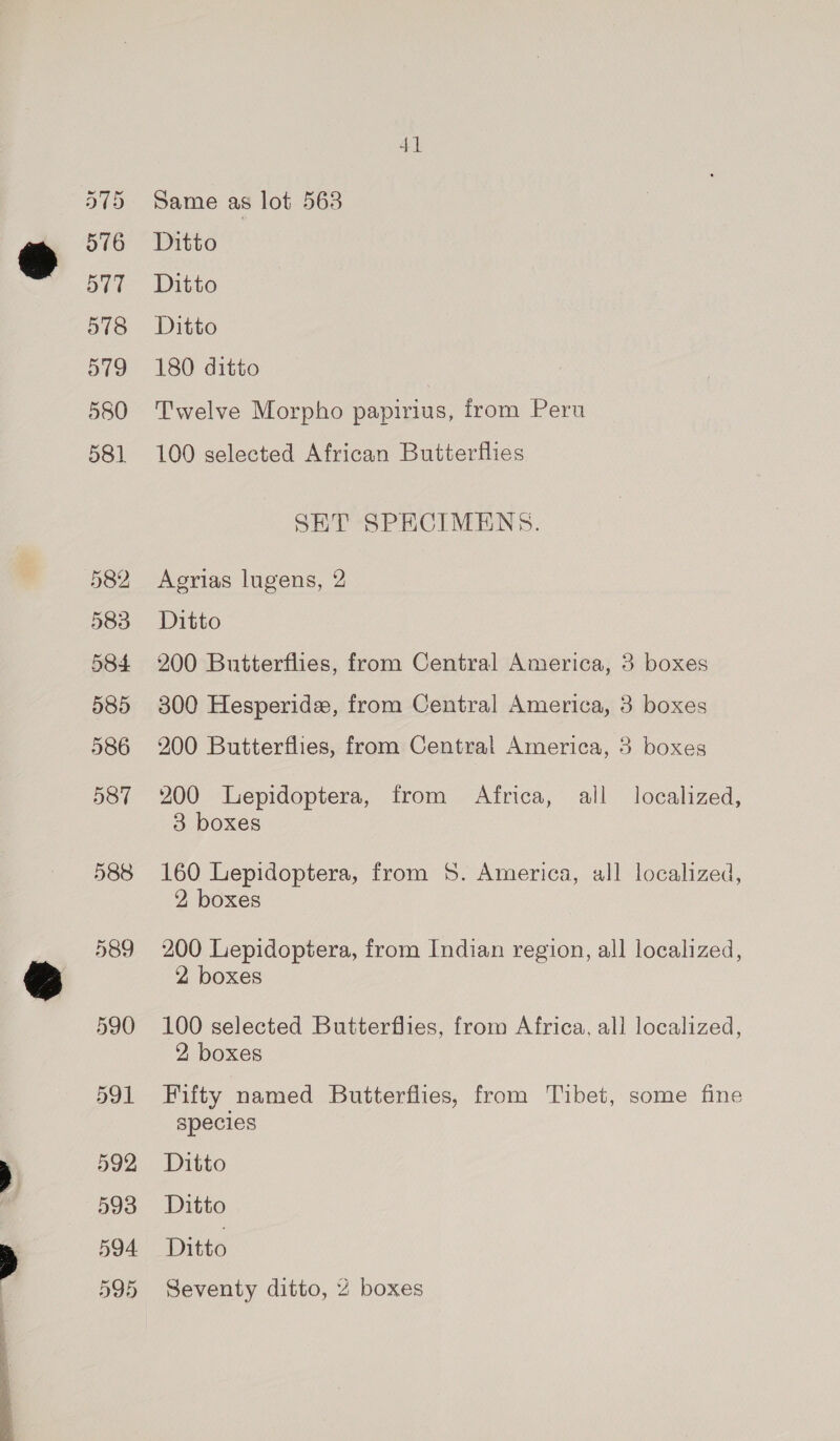  582 584 585 586 587 588 589 590 Same as lot 563 Twelve Morpho papirius, from Peru 100 selected African Butterflies SET SPECIMENS. Agrias lugens, 2 200 Butterflies, from Central America, 3 boxes 300 Hesperidex, from Central America, 3 boxes 200 Butterflies, from Central America, 3 boxes 200 Lepidoptera, from Africa, all localized, 3 boxes 160 Lepidoptera, from 8. America, all localized, 2, boxes 200 Lepidoptera, from Indian region, all localized, 2 boxes 100 selected Butterflies, from Africa, all localized, 2 boxes Fifty named Butterflies, from Tibet, some fine species Seventy ditto, 2 boxes