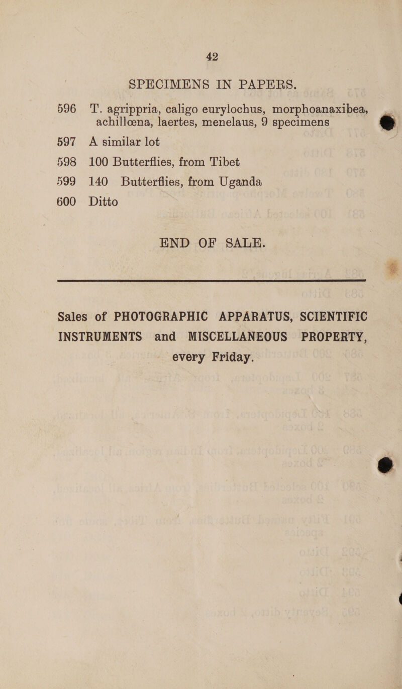 596 597 598 599 600 42 SPECIMENS IN PAPERS. T. agrippria, caligo eurylochus, morphoanaxibea, achilloena, laertes, menelaus, 9 specimens A similar lot 100 Butterflies, from Tibet 140 Butterflies, from Uganda Ditto END OF SALE.  every Friday.
