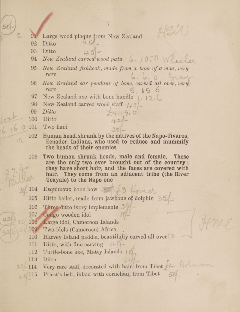 — 96 97 98 99 rs 100 i Fla. Ge 101 3 102 103  ~T Ditto a 1 - Ditto Lye | S| a New Zealand carved wood pate? oy £0 Feil ind New Zealand fishhook, made ee a bone jan moa, ce rare \9 New Zealand ear pendant of bone, car a oo over, veryp) TAaAVE on  = la New Zealand axe with bone handle y : pe New Zealand carved wood staff /) 7) _ Ditto fe ld, | By O Ditto | 3 rp 2. J si Two hani ee | | fi; Human head, shrunk by the natives of the Napo-Tivaros, Ecuador, Indians, who used to reduce and mummify the heads of their enemies Two human shrunk heads, male and female. These are the only two ever brought out of the country ; they have short hair, and the faces are covered with hair. They come from an adiacent tribe (the River Ucayale) to the Napo one Hisquimaux bone bow =. / 4, Ditto bailer, made from jawbone of dolshit 35 f    hreeditto ivory implements 5 ~ Harvey Island paddle, eae carved all over. © Ditto, with fine carving ae ‘Turtle-bone axe, Matty ela 1% Ditto ip Very rare staff, decorated with hair, from Tibet 7 Priest’s belt, inlaid with cornelian, from Tibet