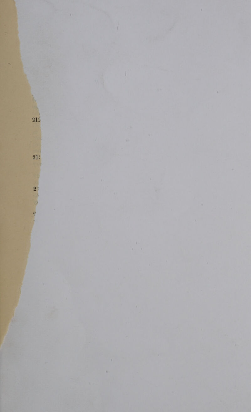 : \ ae — - Ss as cM _ ; 7 - - we