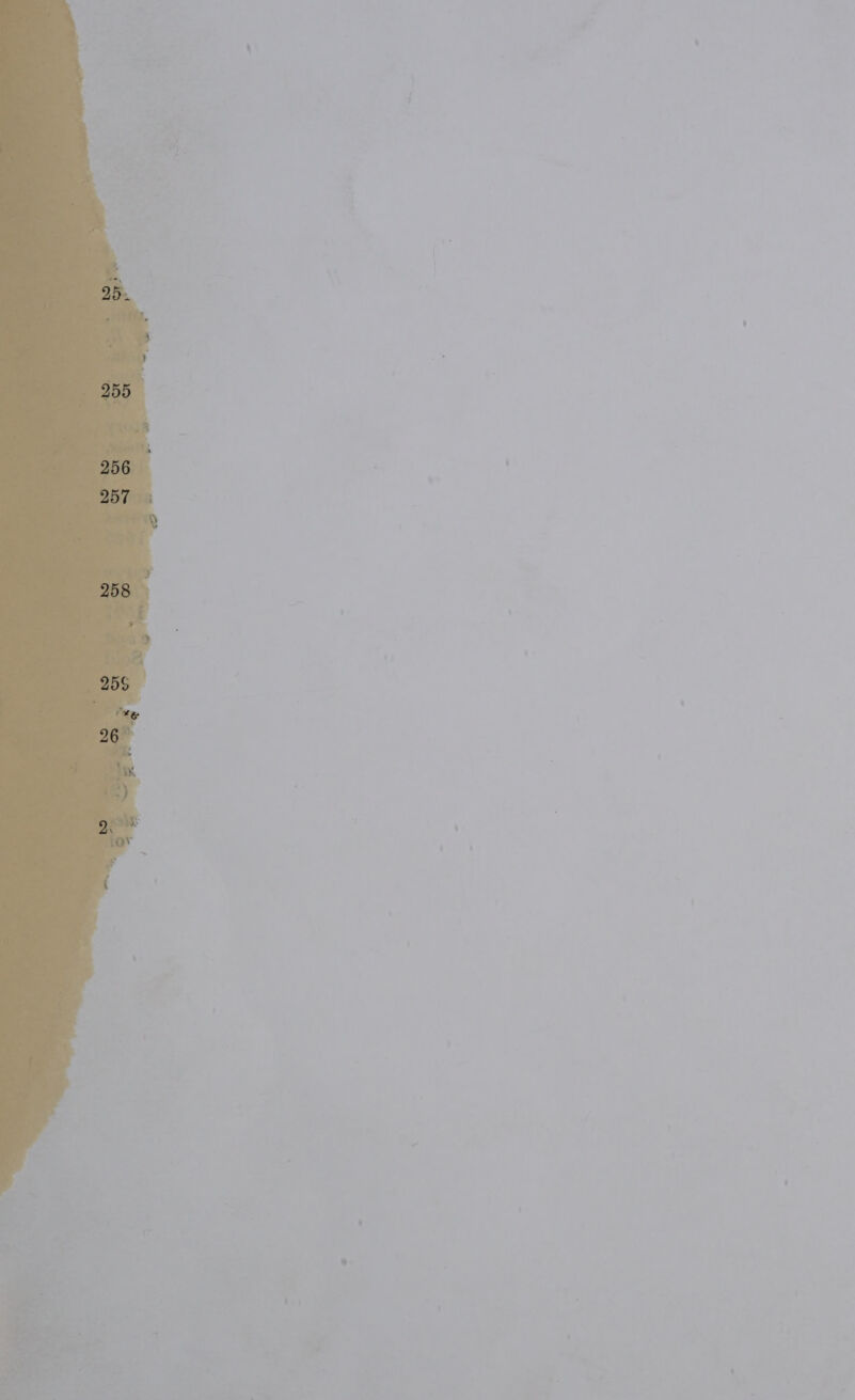 wee | ~ - tare pad << ' > , ) - Lie | T er or - % } : < = - * 7.4 7 = “ as =) >| eal ~ 