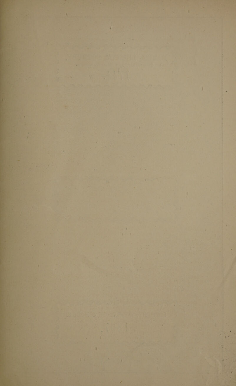      eT et  i y ‘ lee rap We Sg delves ?  ary i Wea» a> ve Y oie POS Cw OMS oe, OP Min BH Ws