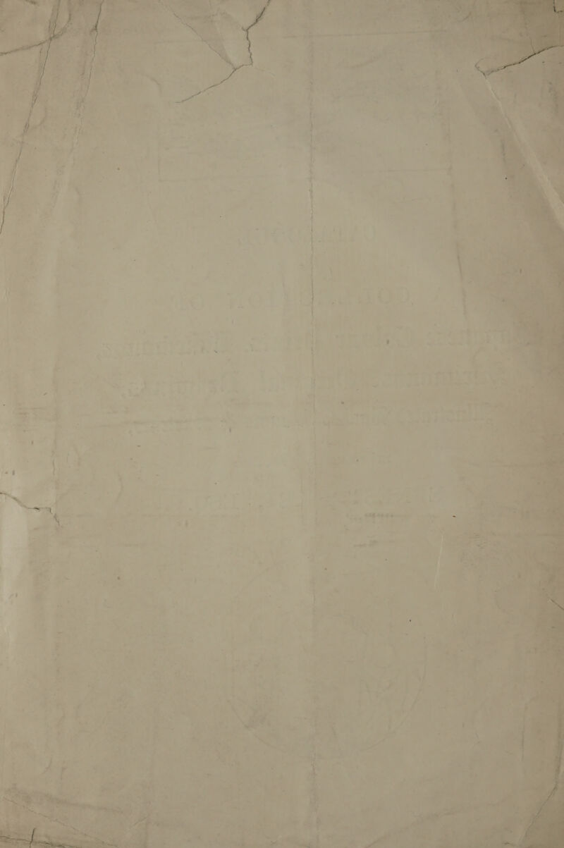 Mica ' , os ww'et'# ae a pp + gt Bhs tsa { ae ee ‘ d » ~ oe 