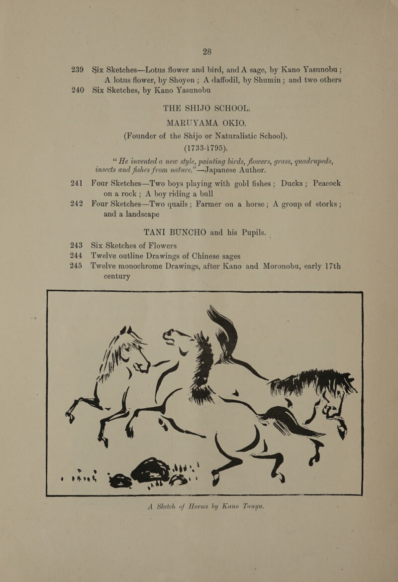 239 Six Sketches—Lotus flower and bird, and A sage, by Kano Yasunobu ; A lotus flower, by Shoyen ; A daffodil, by Shumin ; and two others 240 Six Sketches, by Kano Yasunobu THE SHIJO SCHOOL. MARUYAMA OKIO. (Founder of the Shijo or Naturalistic School). (1733-1795). “ He invented a new style, painting birds, flowers, grass, quadrupeds, insects and fishes from nature.” —Japanese Author. 241 Four Sketches—Two boys playing with gold fishes; Ducks; Peacock on a rock; A boy riding a bull 242 Four Sketches—Two quails; Farmer on a horse; A group of storks ; and a landscape TANI BUNCHO and his Pupils. 243 Six Sketches of Flowers 244 Twelve outline Drawings of Chinese sages 245 ‘Twelve monochrome Drawings, after Kano and Moronobu, early 17th century 
