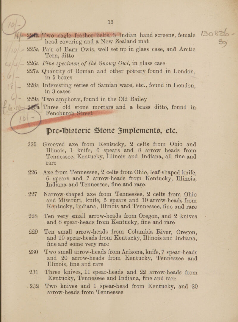   “Twoeasle feather belts, 3 Indian hand screens, female anew iene mea a Naw Zealand mat 225a Pair of Barn Owls, well set up in glass case, and Arctic Tern, ditto 226a Fine specimen of the Snowy Owl, in glass case 227a Quantity of Roman and other pottery found in London, : in 5 boxes 228a Interesting series of Samian ware, etc., found in London, | in 3 cases ¢ > 229a Two amphore, found in the Old Bailey fe Three old stone mortars and a brass ditto, found in “ gee Saal Cheptreet    rae Historic Stone Fmplements, ete. 295 Grooved axe from Kentucky, 2 celts from Ohio and Illinois, 1 knife, 6 spears and 8 arrow heads from rare 226 Axe from Tennessee, 2 celts from Ohio, leaf-shaped knife, 6 spears and 7 arrow-heads from Kentucky, Illinois, Indiana and Tennessee, fine and rare. _ 227 Narrow-shaped axe from Tennessee, 2 celts from Ohio and Missouri, knife, 5 spears and 10 arrow-heads from Kéntucky, Indiana, Illinois and Tennessee, fine and rare 228 Ten very small arrow-heads from Oregon, and 2 knives and 8 spear-heads from Kentucky, fine and rare and 10 spear-heads from Kentucky, Illinois and Indiana, fine and some very rare 230 ‘Two small arrow-heads from Arizona, knife, 7 spear- -heads and 20 arrow-heads from Kentucky, Tennessee and Tllinois, fine and rare 931 Three knives, 11 spear-heads and 22 arrow-heads from Kentucky, Tennessee and Indiana, fine and rare .232 Two knives and 1 spear-head from Kentucky, and 20 arrow-heads from ‘Tennessee