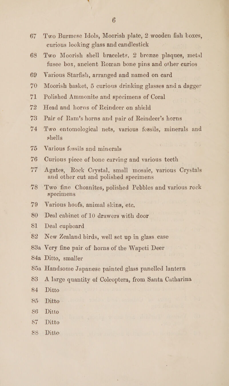 67 68 69 70 71 72 73 74 15 76 77 78 79 80 81 82 83a 84a 6 Two Burmese Idols, Moorish plate, 2 wooden fish boxes, curious looking glass and candlestick Two Moorish shell bracelets, 2 bronze plaques, metal fusee box, ancient Roman bone pins and other curios Various Starfish, arranged and named on card Moorish basket, 5 curious drinking glasses and a dagger Polished Ammonite and specimens of Coral Head and horns of Reindeer on shield Pair of Ram’s horns and pair of Reindeer’s horns Two entomological nets, various fossils, minerals and shells Various fossils and minerals Curious piece of bone carving and various teeth Agates, Rock Crystal, small mosaic, various Crystals and other cut and polished specimens Two fine Choanites, polished Pebbles and various rock specimens Various hoofs, animal skins, ete. Deal cabinet of 10 drawers with door Deal cupboard New Zealand birds, well set up in glass case Very fine pair of horns of the Wapeti Deer Ditto, smaller Handsome Japanese painted glass panelled lantern A large quantity of Coleoptera, from Santa Catharina Ditto Ditto Ditto Ditto