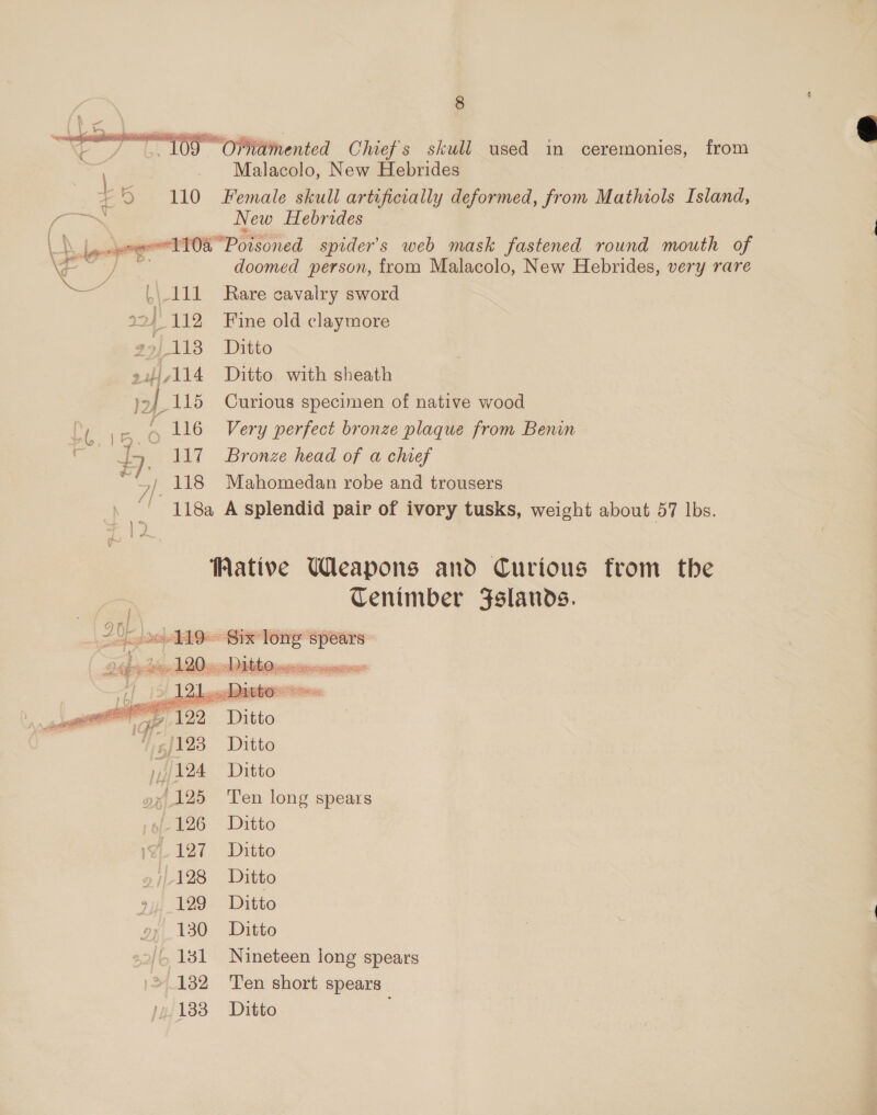  Fo 110 ae ive Malacolo, New Hebrides Female skull artificially deformed, from Mathiols Island, New Hebrides doomed person, from Malacolo, New Hebrides, very rare  6 | 111 Rare cavalry sword 19 } 112 Fine old claymore 23]113 Ditto 21/114 Ditto with sheath }2/.115 Curious specimen of native wood Ce ve. “ 116 Very perfect bronze plaque from Benin ' &gt;) 118 Mahomedan robe and trousers 118a A splendid pair of ivory tusks, weight about 57 lbs. + |) Wative Weapons and Curious from the Cenimber Fslands. = re pa TA Ge SE ES spears Dee » 120... saat sg st oil yin Ditto /123 Ditto My 194 Ditto 9x 125 Ten long spears »6f- 126 Ditto 1g. 127 Ditto jL128 Ditto 145 129 Ditto 9; 130 Ditto /, 131 Nineteen long spears } 24132 Ten short spears 
